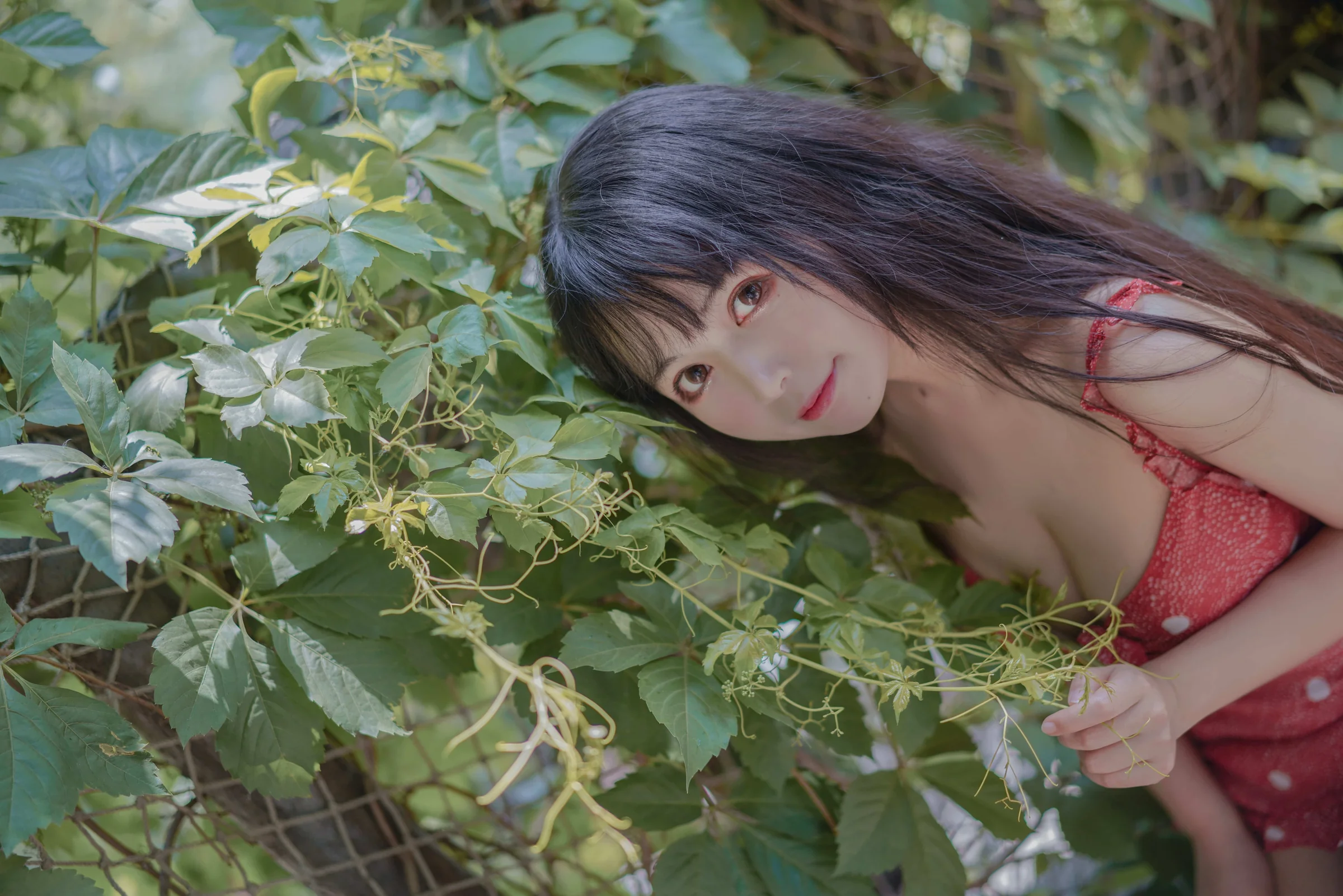黑猫猫-草莓｜高清图片集
