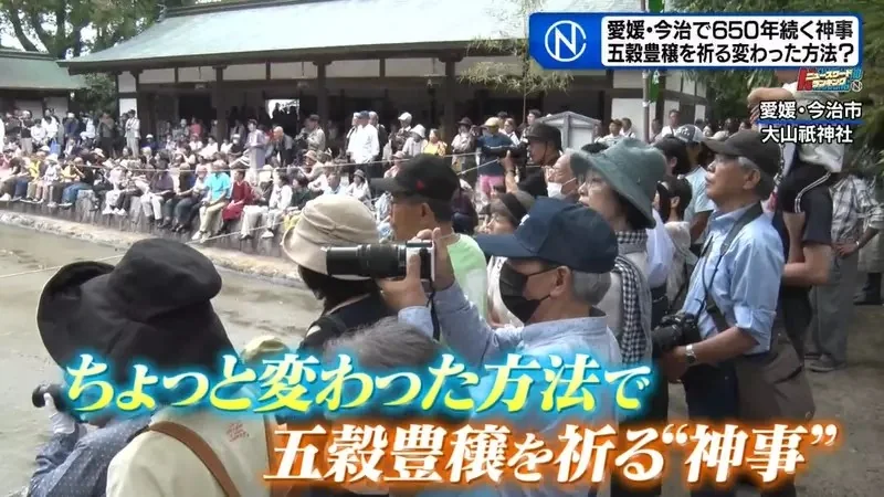 日本奇妙祭典《跟稻田精靈比相撲》唯一的力士後繼無人好苦惱｜高清图片集
