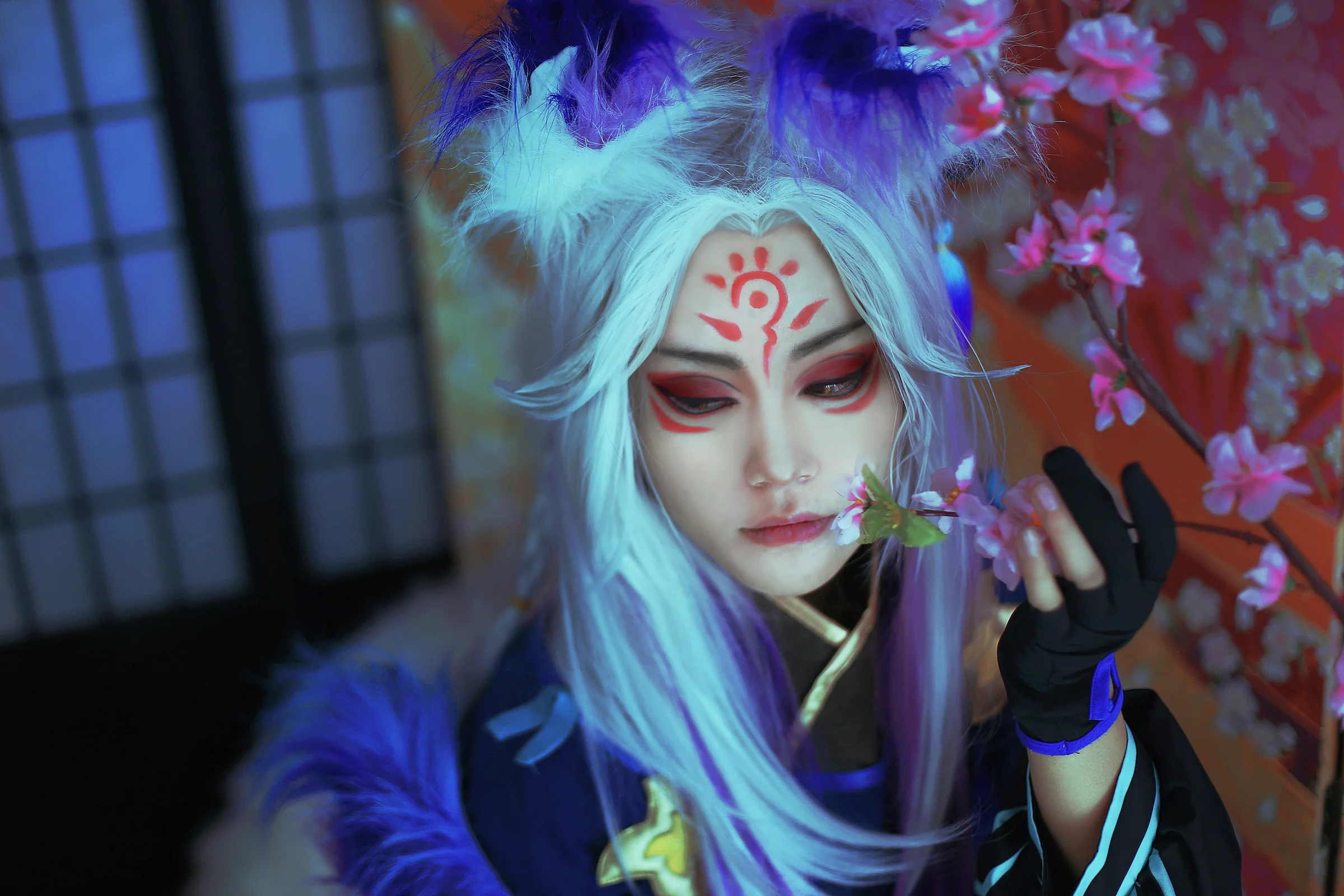 TYA事务所 阴阳师妖狐COS写真