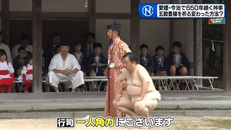 日本奇妙祭典《跟稻田精靈比相撲》唯一的力士後繼無人好苦惱｜高清图片集