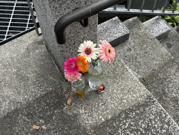 《链锯人》带动圣地巡礼热潮！东京电话亭被鲜花淹没｜高清图片集