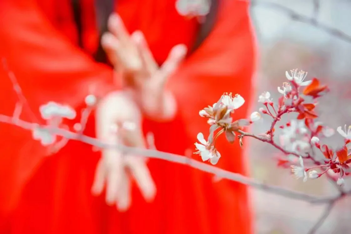 十里桃花 白浅COS写真