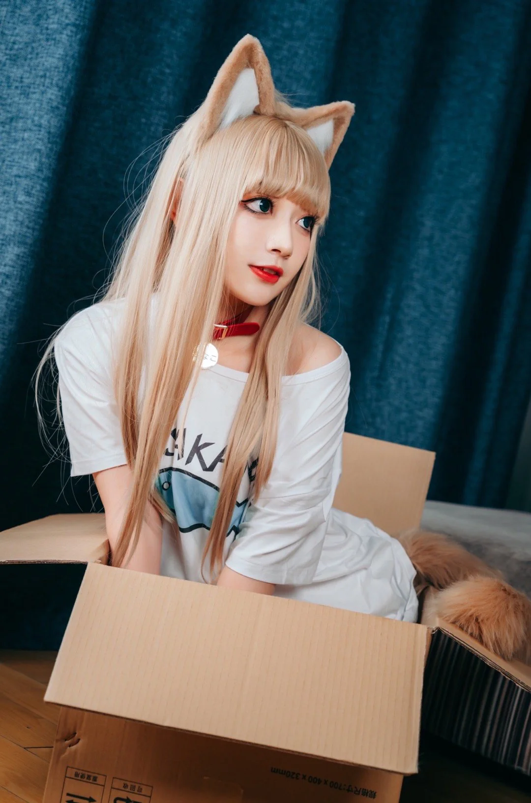 黄豆粉猫娘COS写真