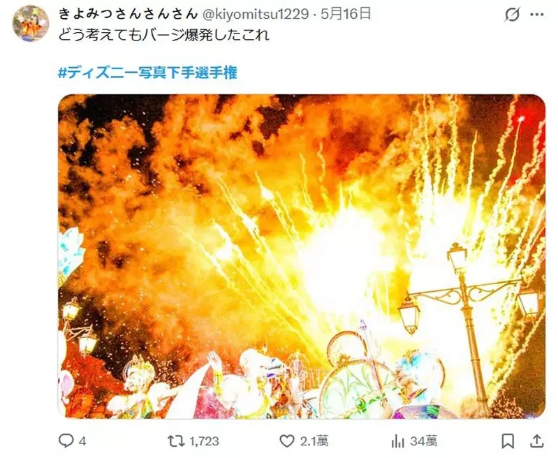 推特話題《迪士尼樂園翻車照大賽》網友投稿各種超神NG照片｜高清图片集