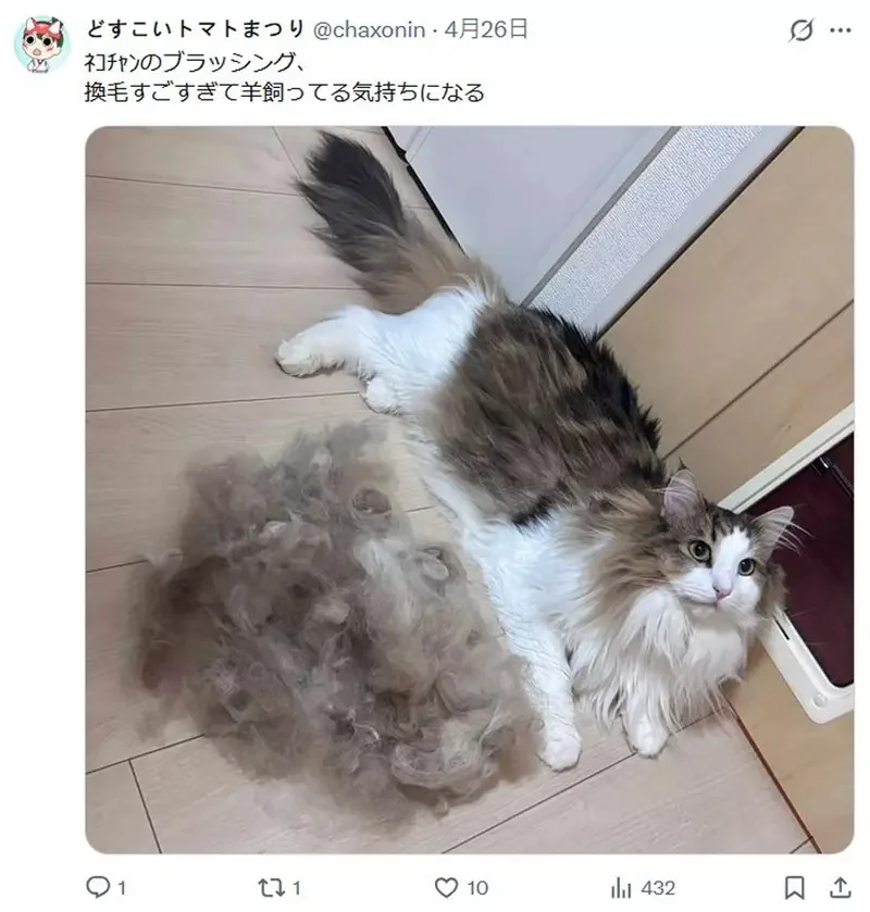 網友發現自己的PS5發出過熱警告 心想為什麼會這樣？結果拿出來一看，笑死w｜高清图片集