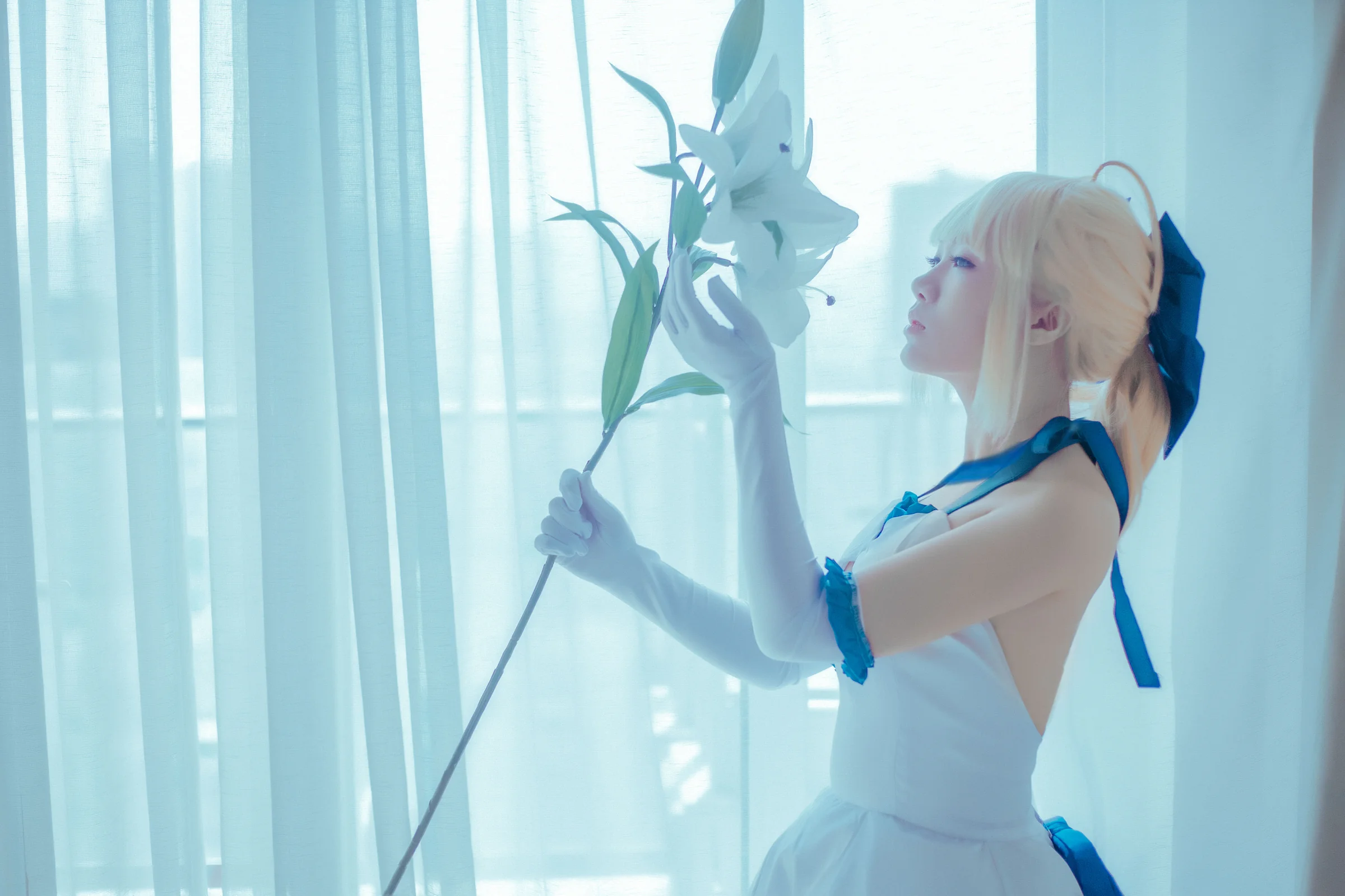 saber lily蓝百合COS写真