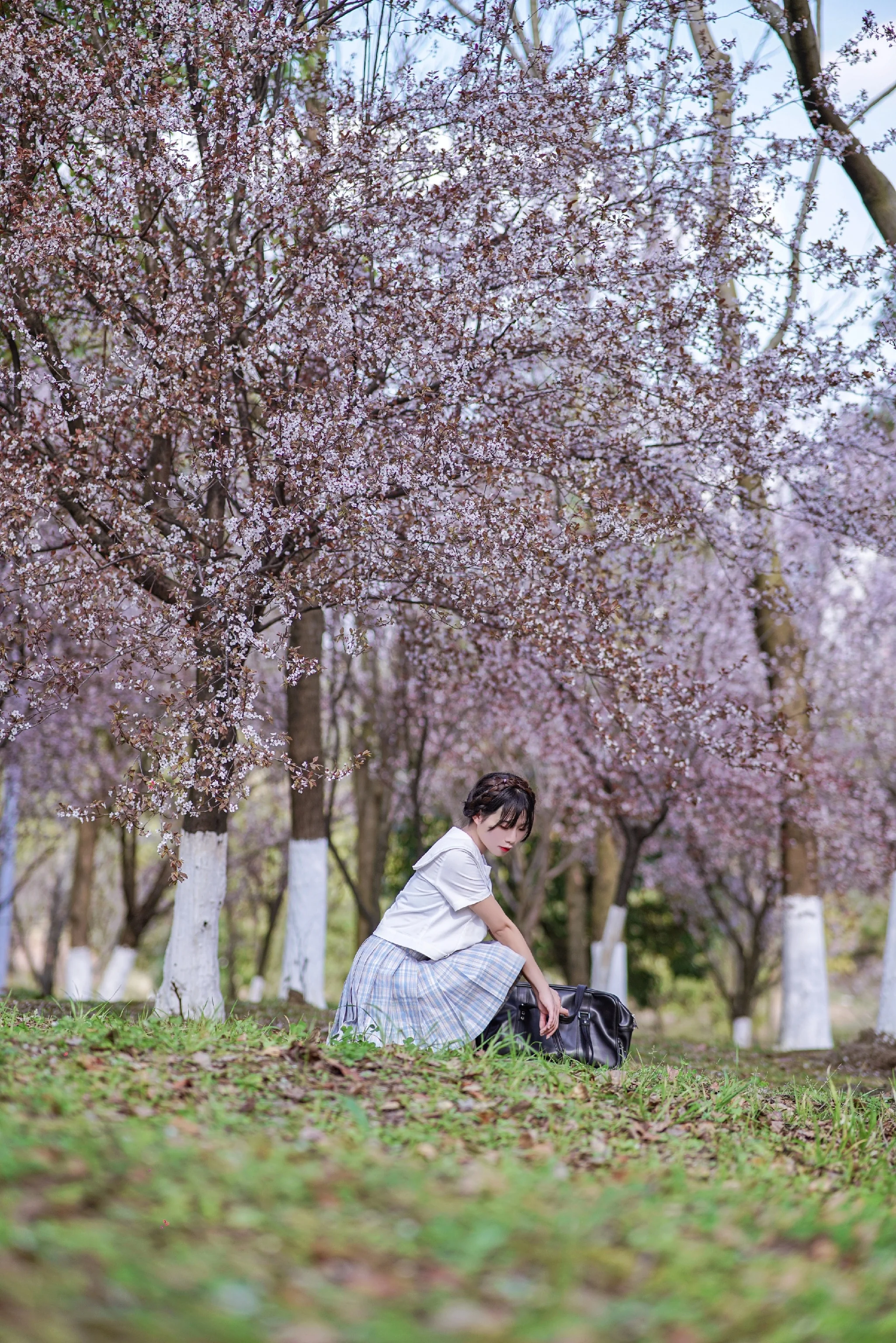 JK制服，向往春暖花开｜高清图片集