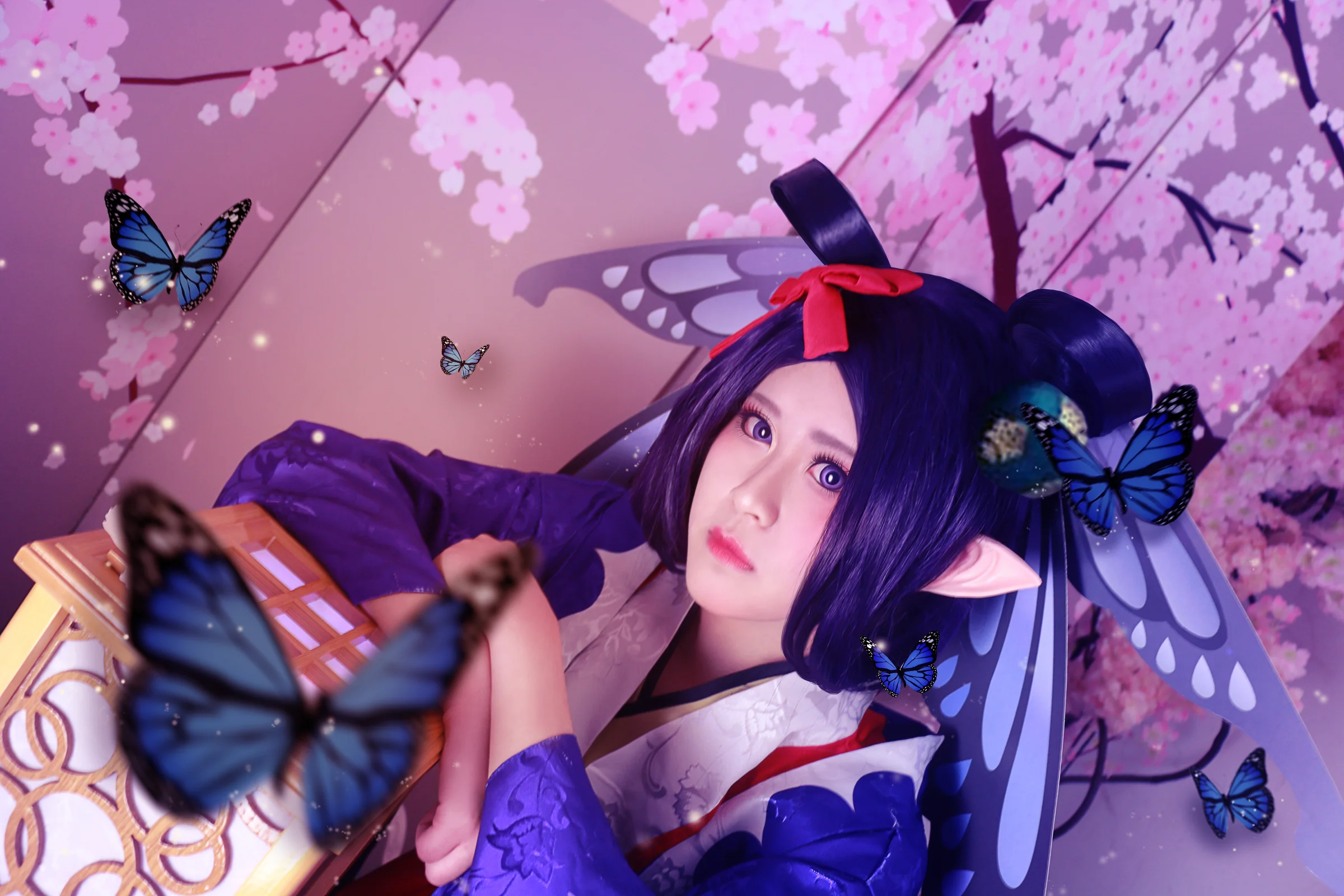 阴阳师蝴蝶精COS写真