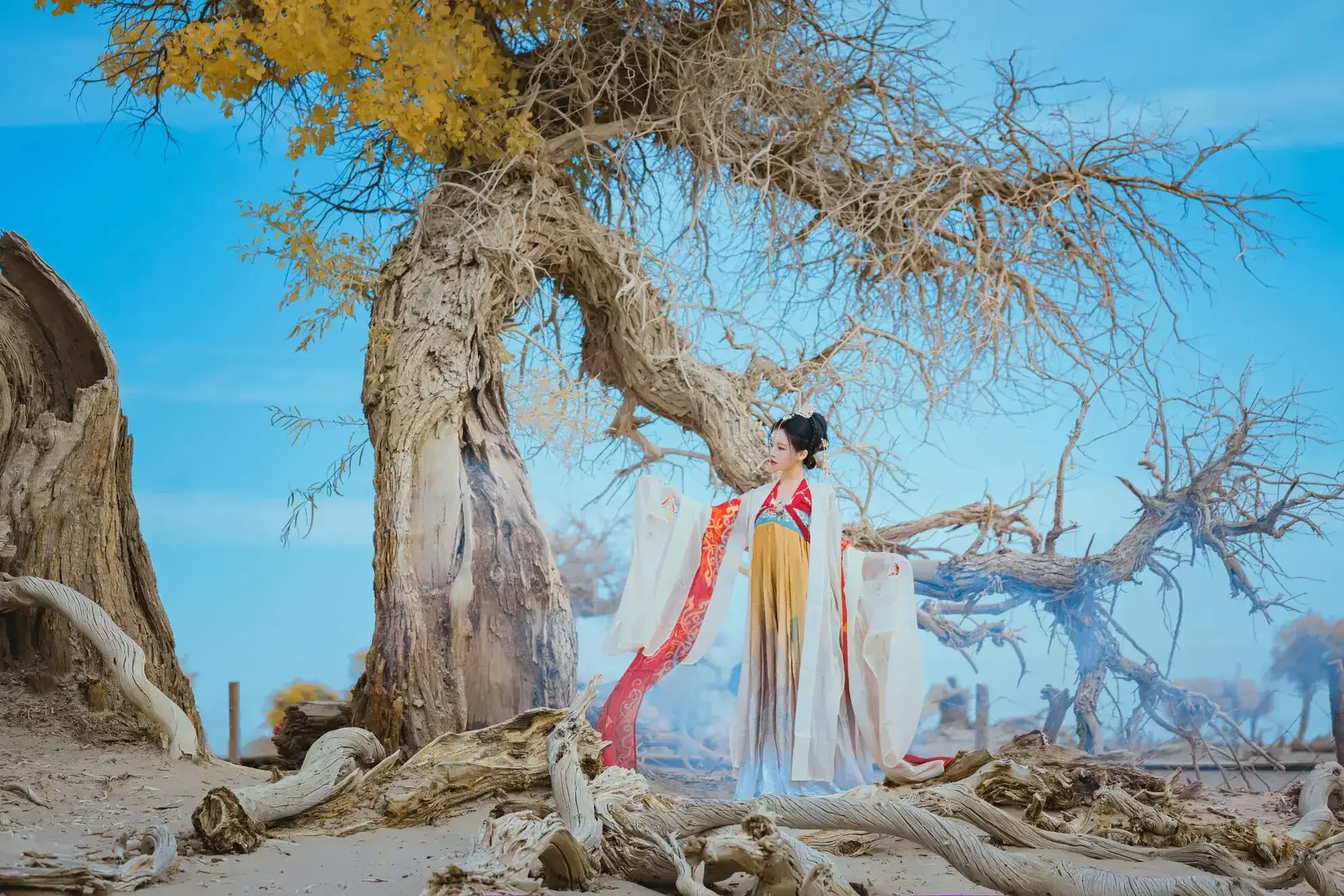 桜桃喵 – 惊鸿｜高清图片集