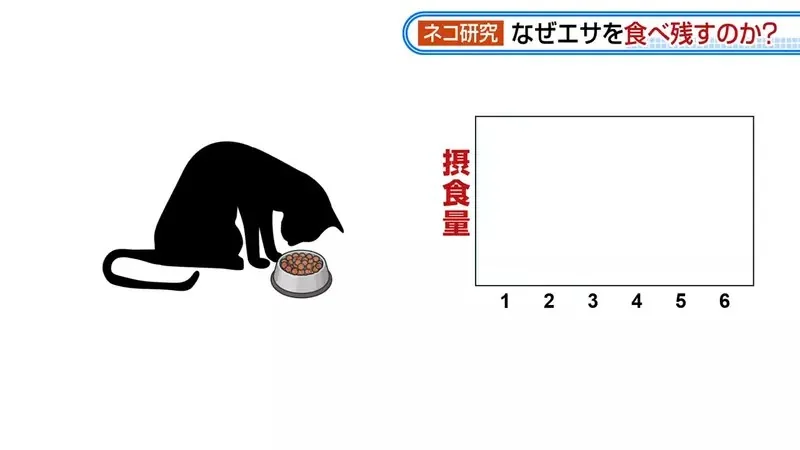 日本研究《貓咪為什麼飼料都吃剩》其實跟氣味一成不變有關係？｜高清图片集