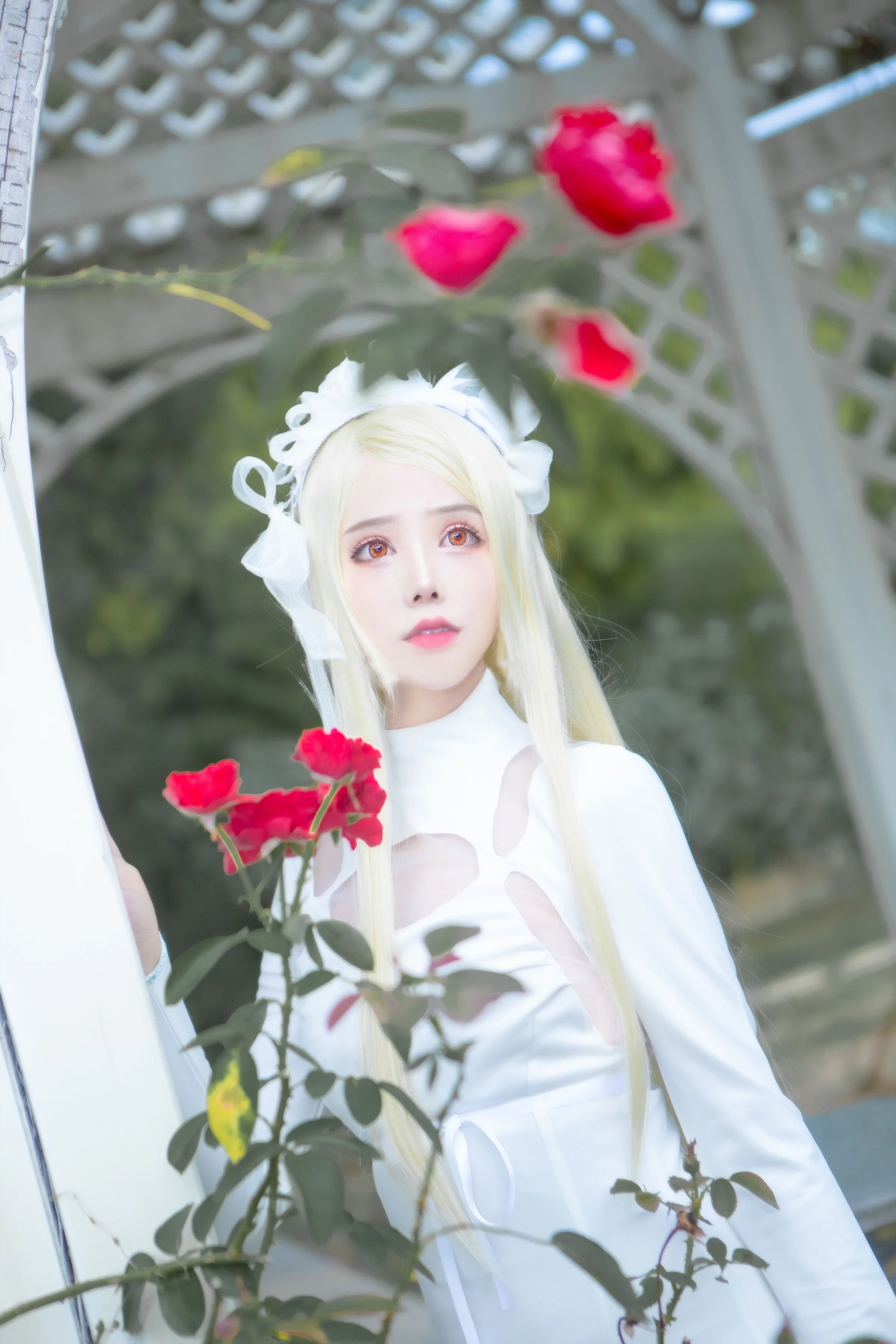 朝花夕誓 蕾莉亚COS写真