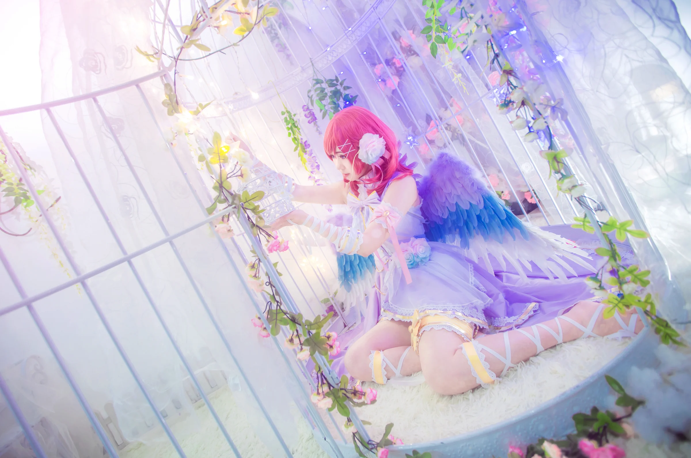 西木野真姬COS写真即使身缚笼中，也会化为白鸟见你