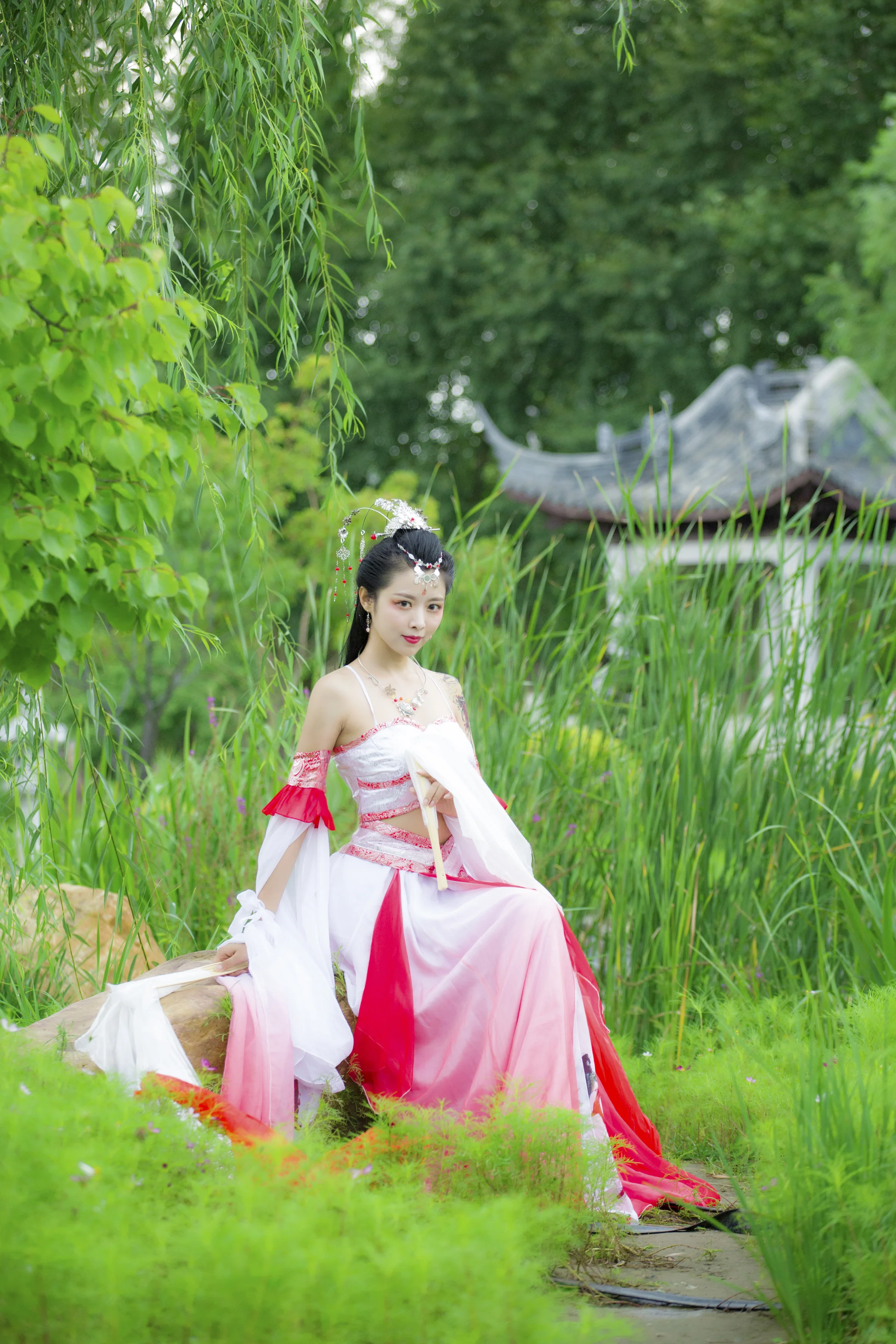 锦鲤抄 给大家带来好运！｜高清图片集