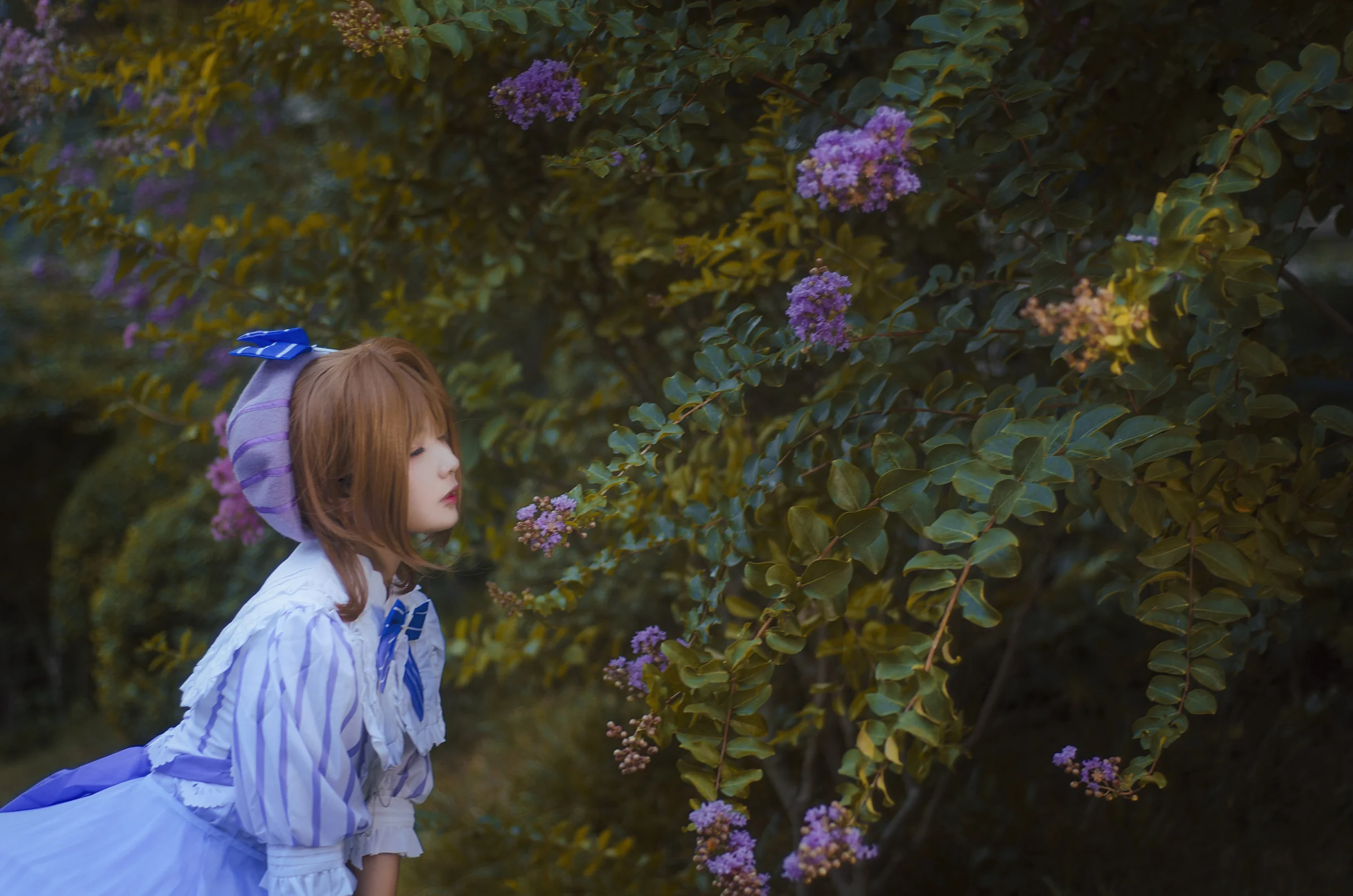 魔卡少女樱 木之本樱&知世COS写真