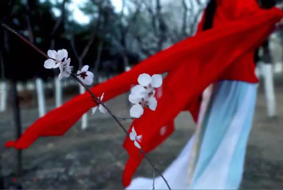三生三世十里桃花 白浅COS写真
