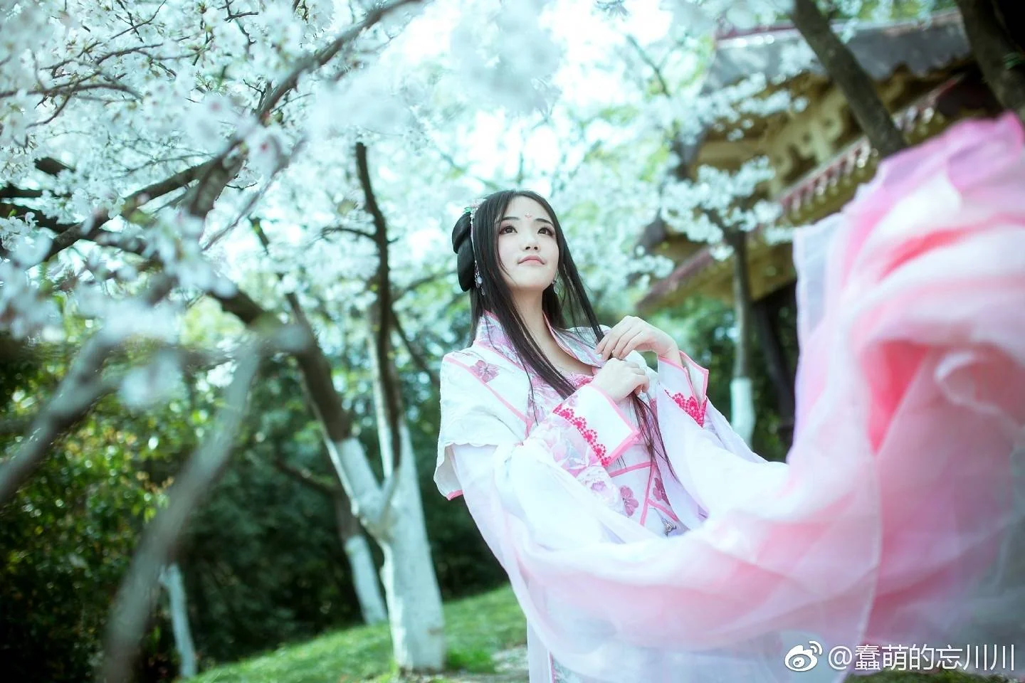 祸国 少女姜沉鱼COS写真