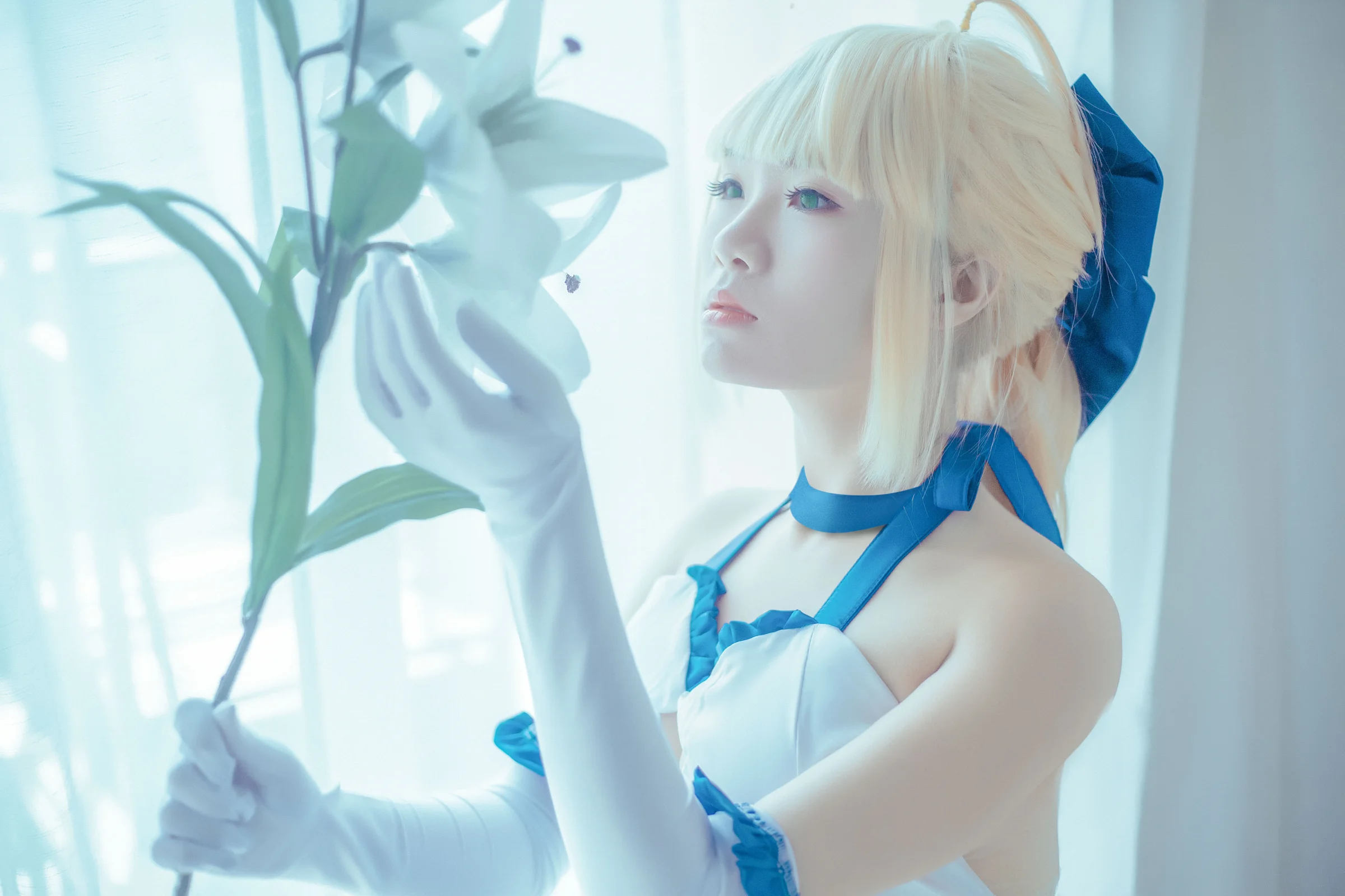 saber lily蓝百合COS写真