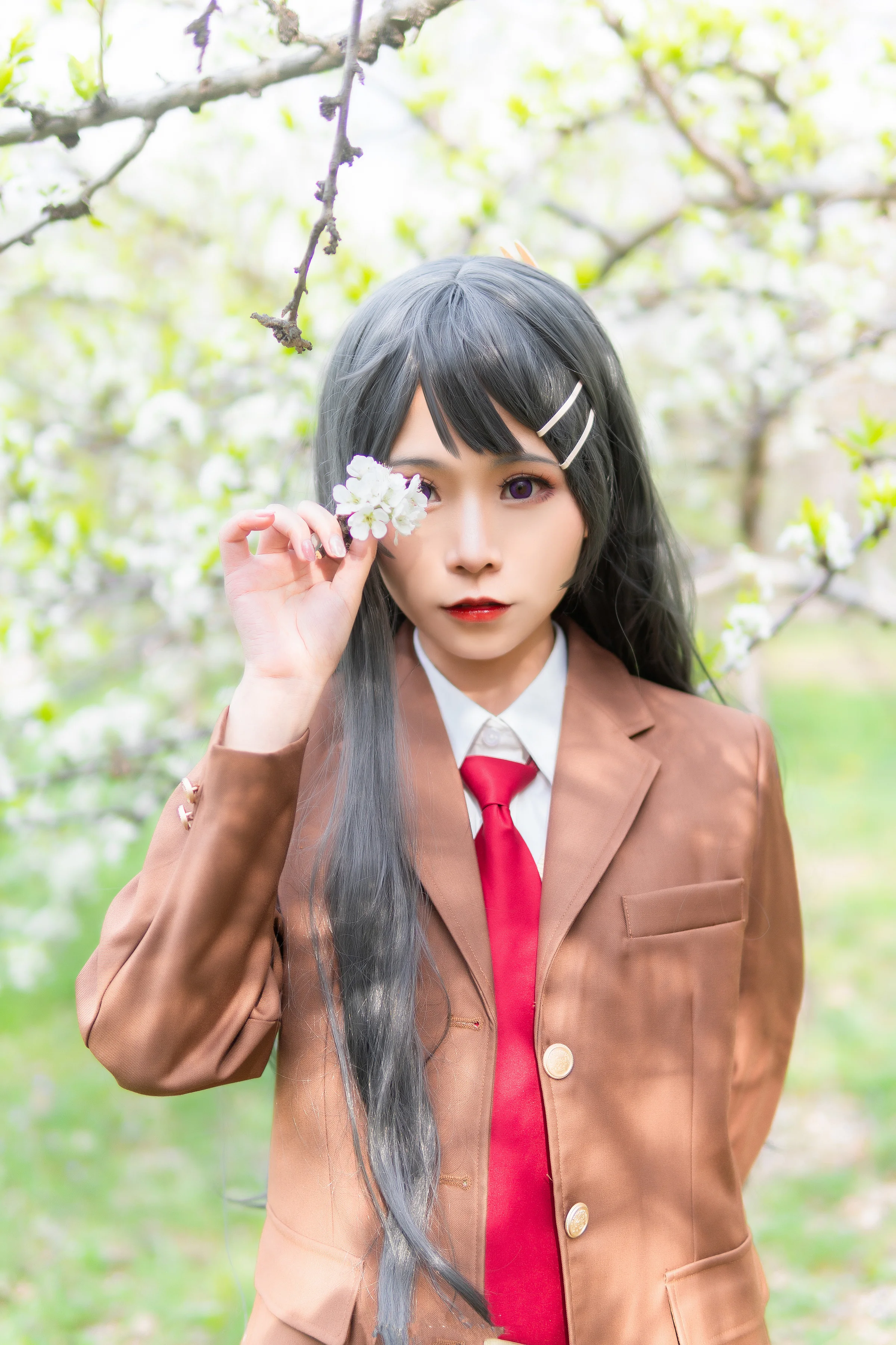 《青春期猪头少年不会梦到兔女郎学姐》樱岛麻衣COS写真