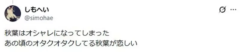 日本宅宅回憶《逛秋葉原的興奮感》如今卻完全沒有這種感覺了｜高清图片集