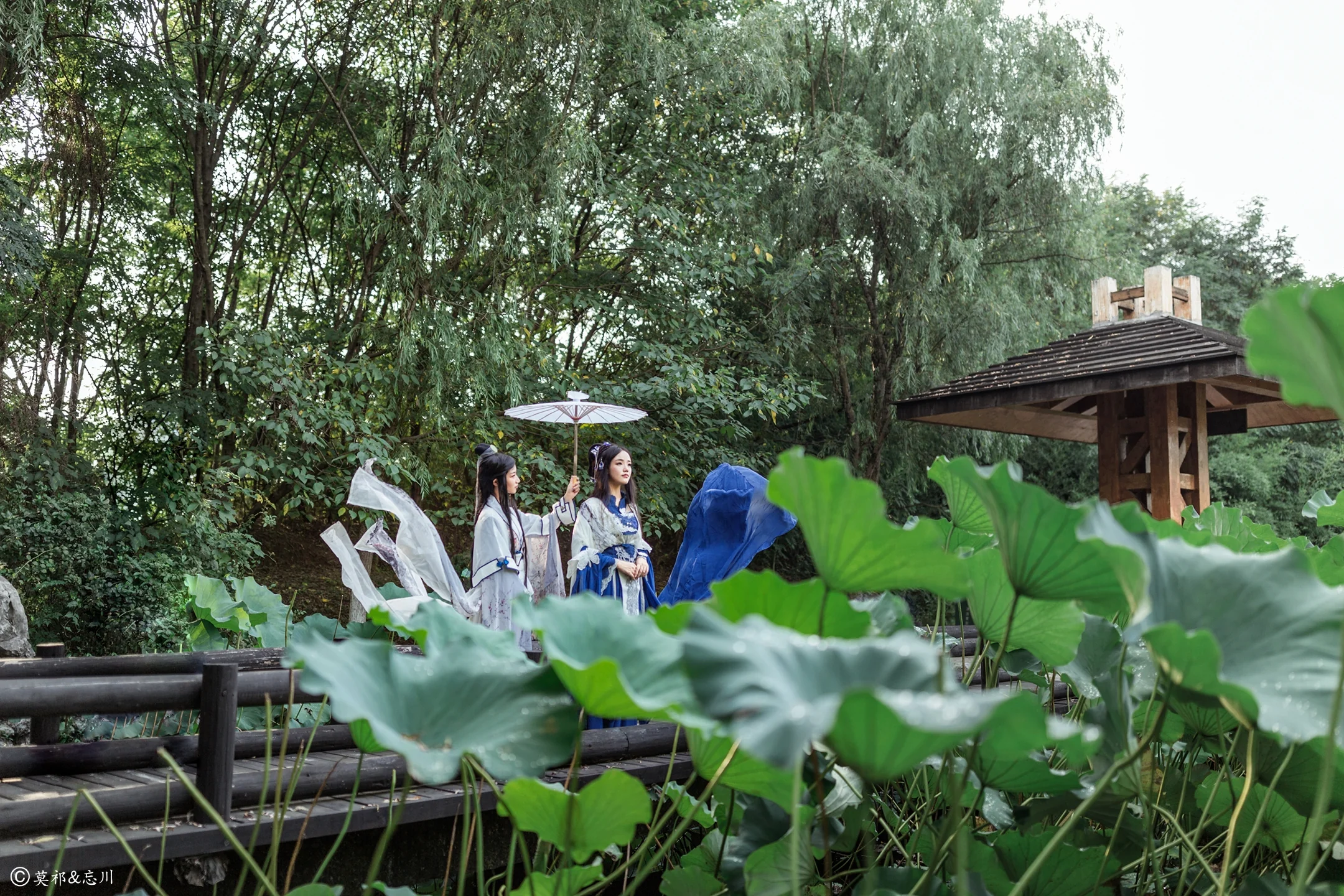 祸国—姜沉鱼薛采 古风私影｜高清图片集