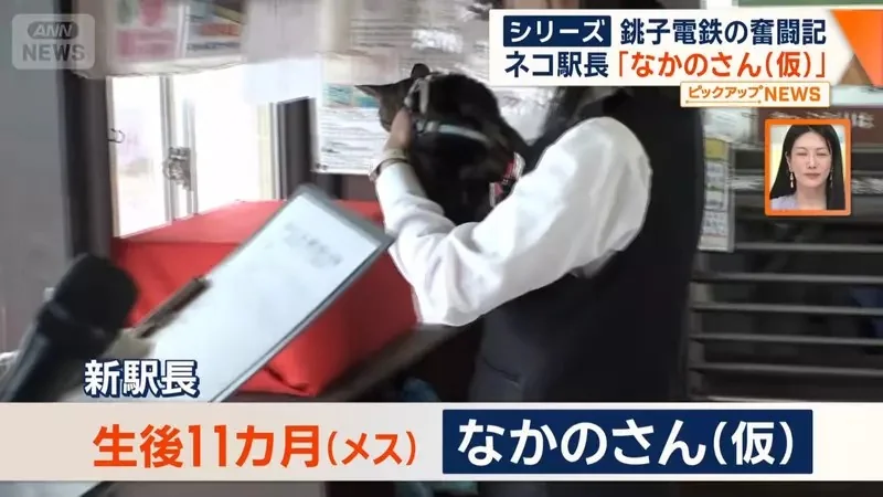 銚子電鐵《新貓咪站長上任》該不該拿掉名字裡的（暫定）成了下一個議題｜高清图片集