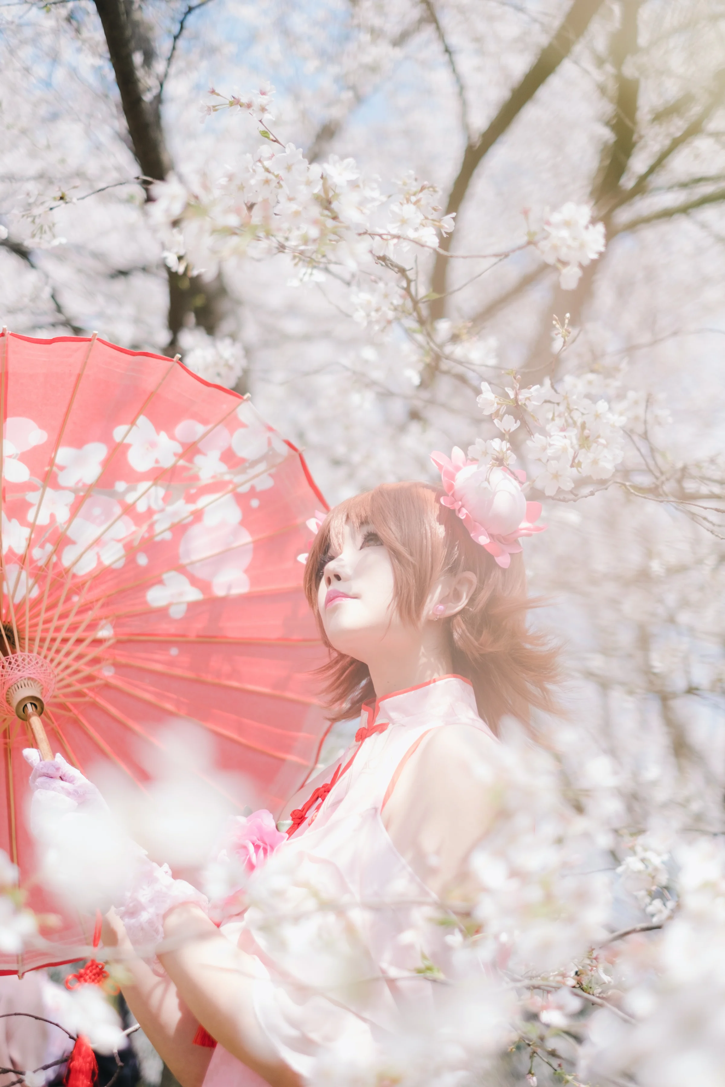 家庭教师 旗袍笹川京子COS写真
