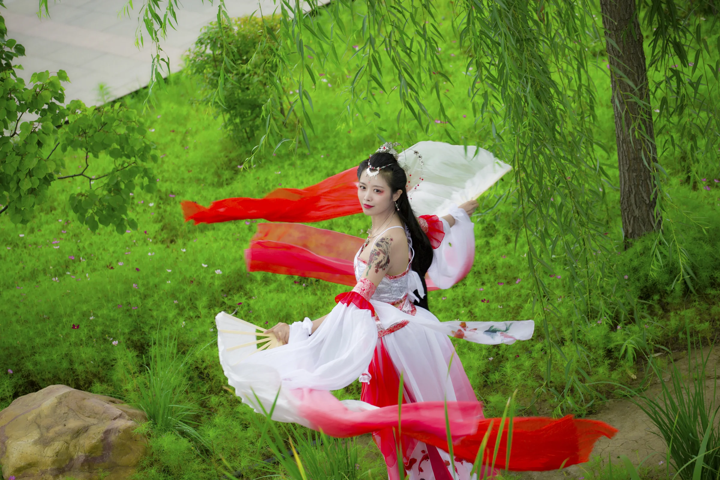 锦鲤抄 给大家带来好运！｜高清图片集