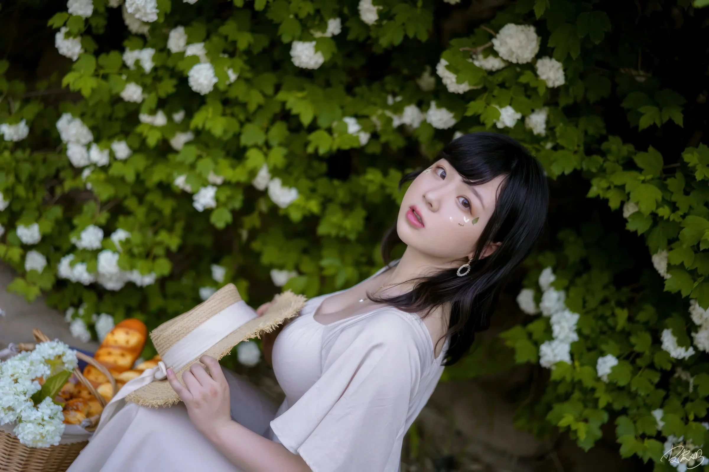 皮皮奶 – 绣球花｜高清图片集