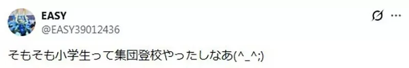 日本網友質疑《穿輪鞋上下學的小學生》是不是只有在動畫裡面看得到？｜高清图片集