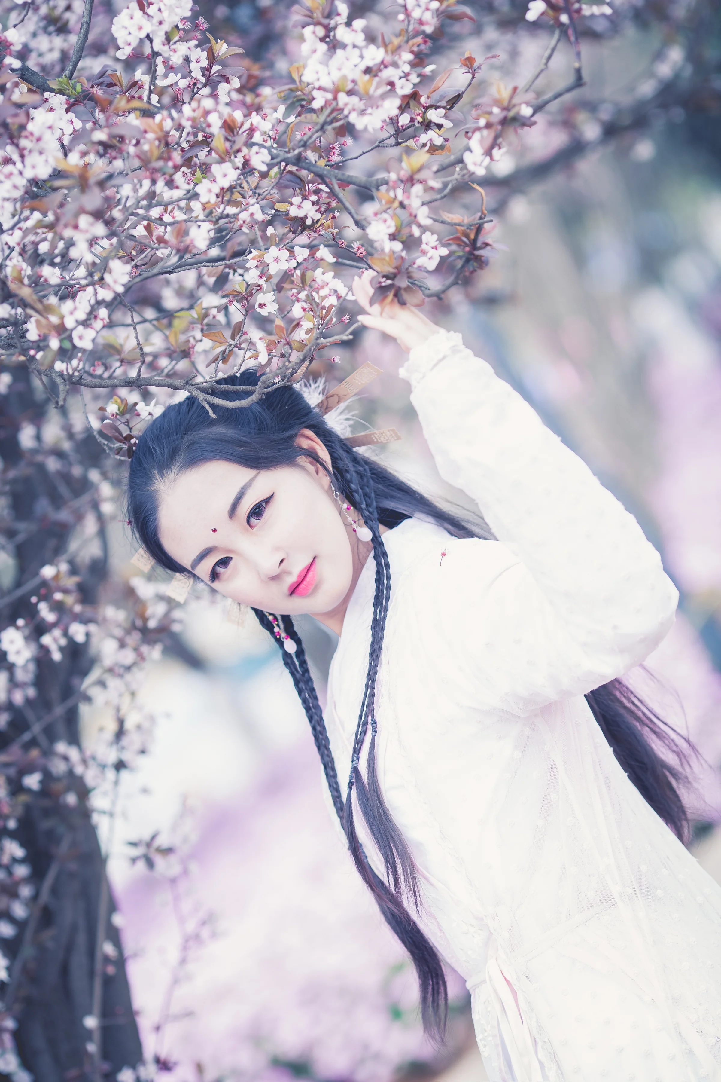 倚天屠龙记·芷若COS写真