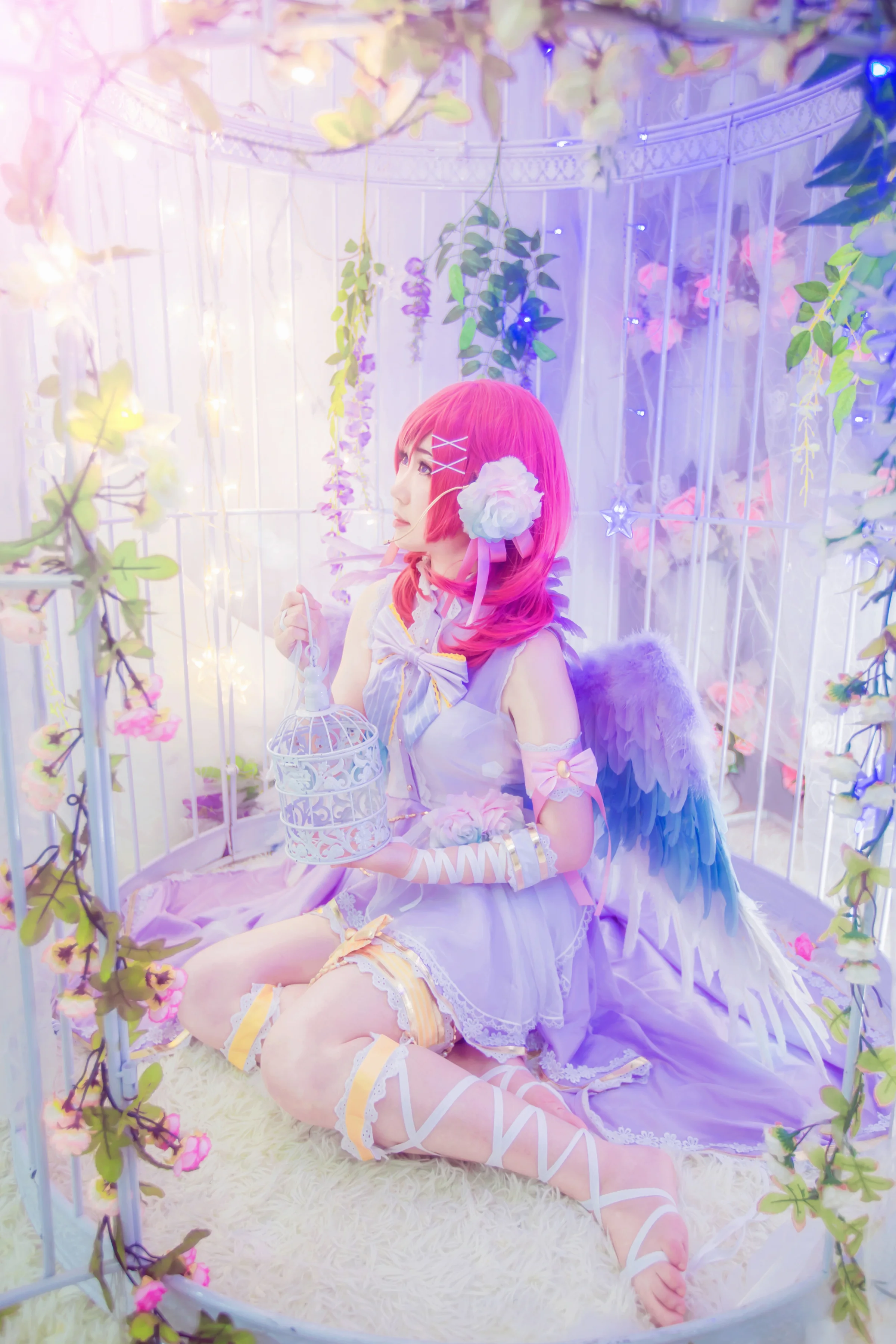 西木野真姬COS写真即使身缚笼中，也会化为白鸟见你