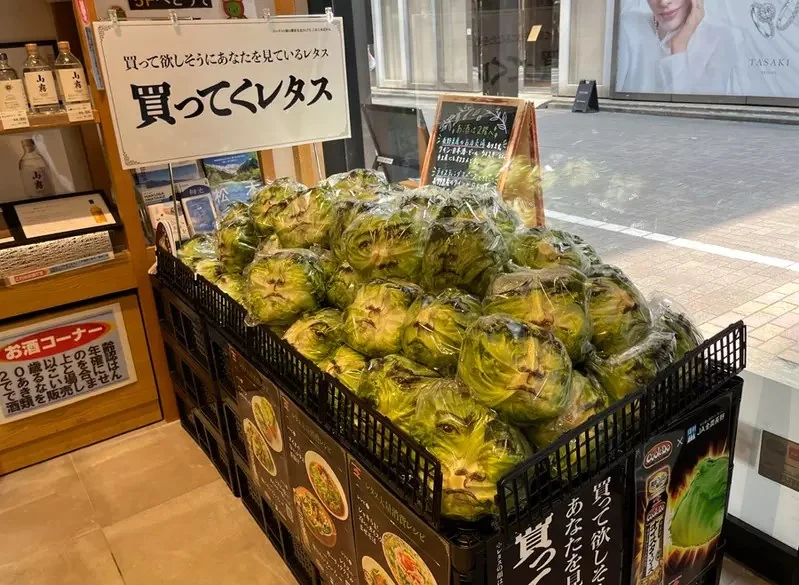 《藤原龍也萵苣包裝》為了促進蔬菜的消費找來大明星借臉，結果廠商還真的只有借臉而已啊(汗)｜高清图片集