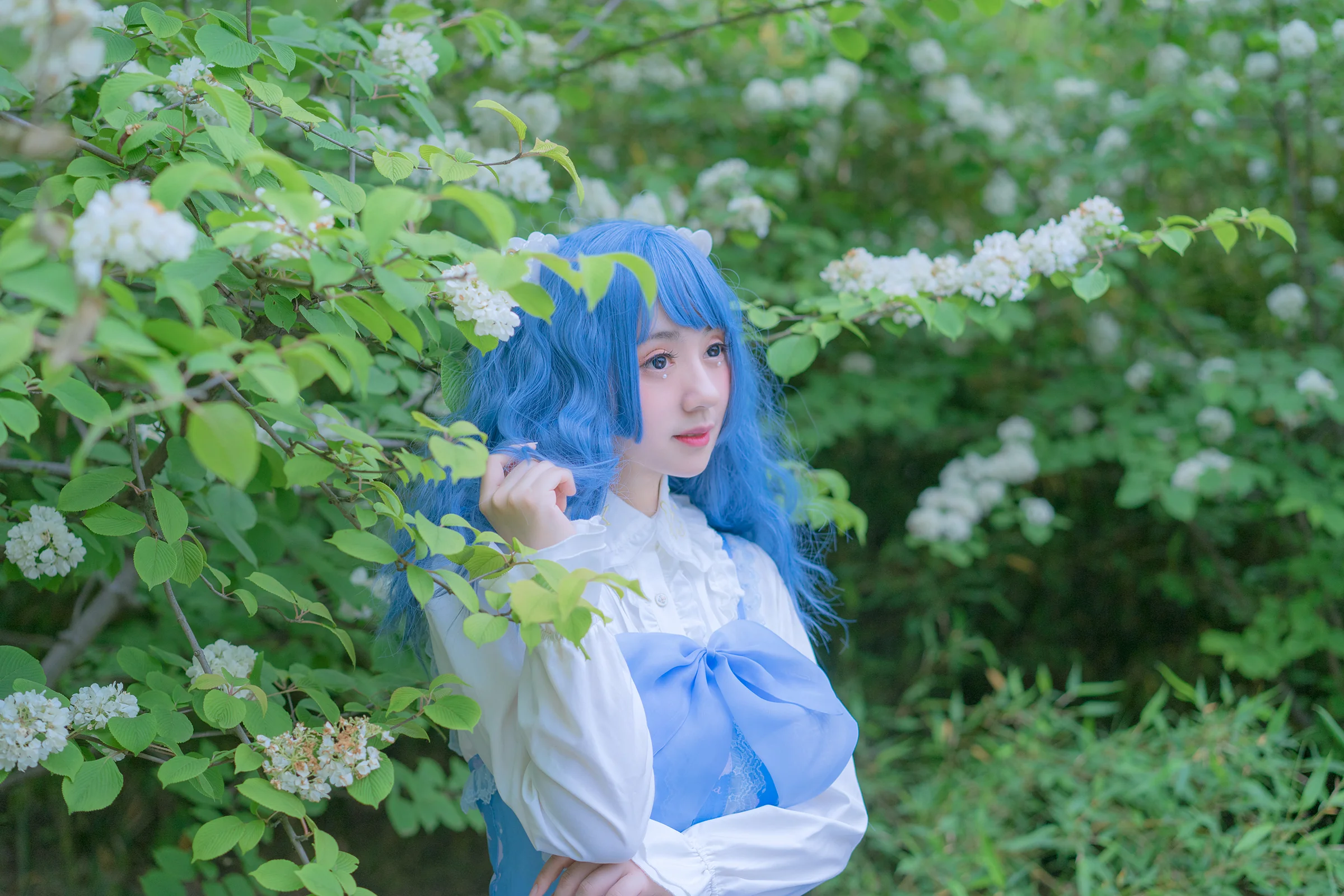lolita 贝壳星辰 JSK｜高清图片集