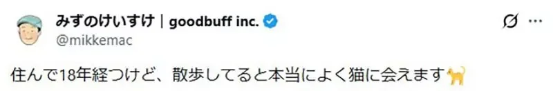 貓奴們想要住在《名字有貓字的地區》日本各地其實存在這麼多｜高清图片集