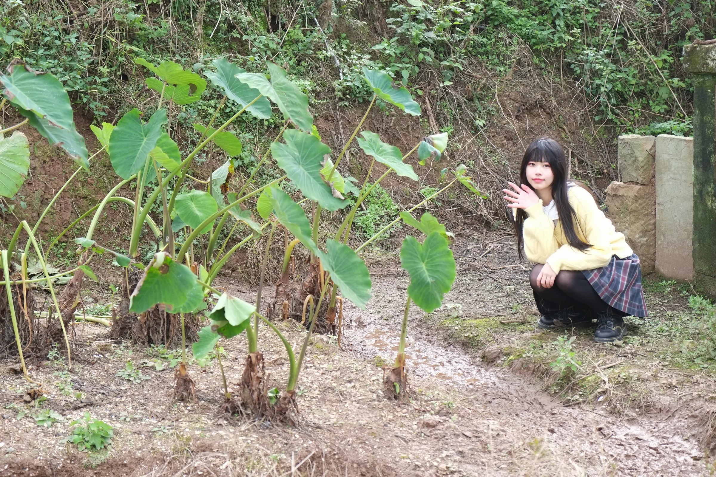 飞翔的魔女～木幡真琴COS写真