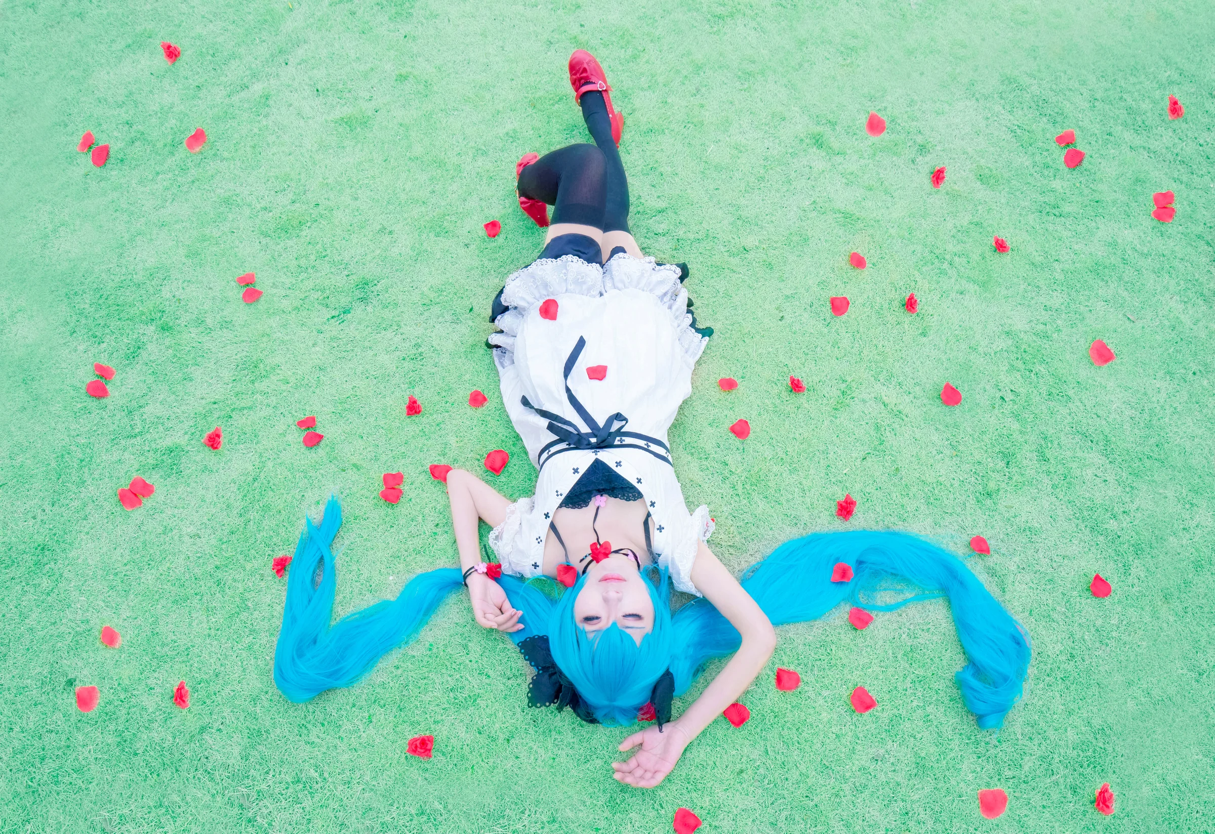 初音COS写真 世界第一的公主殿下！