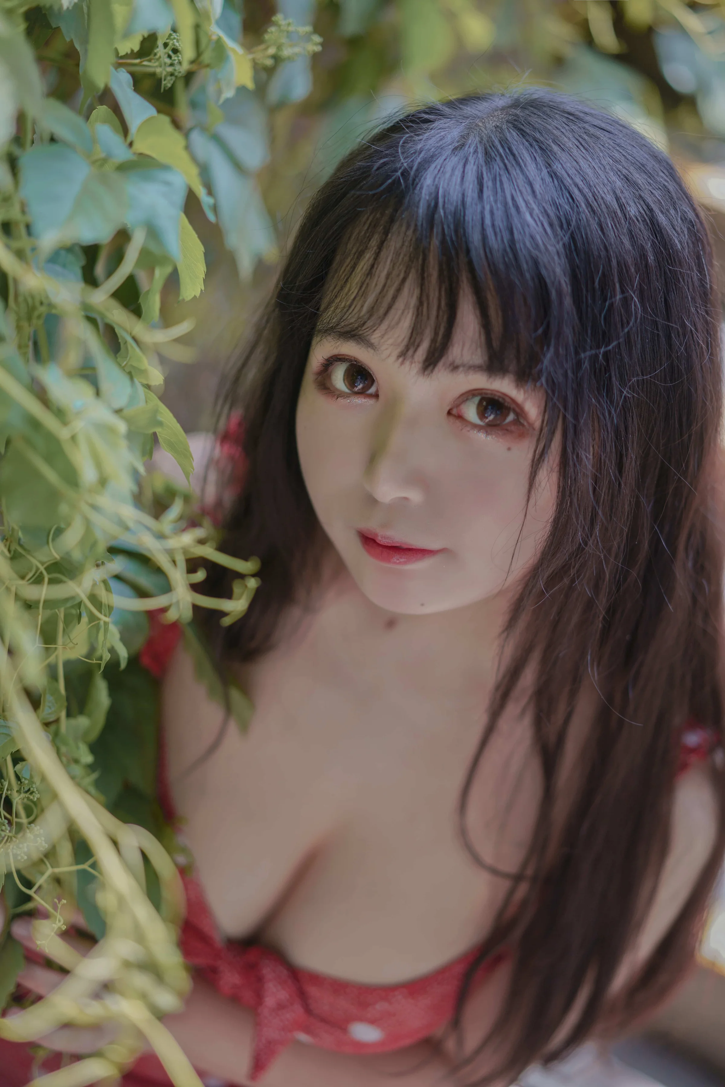 黑猫猫-草莓｜高清图片集