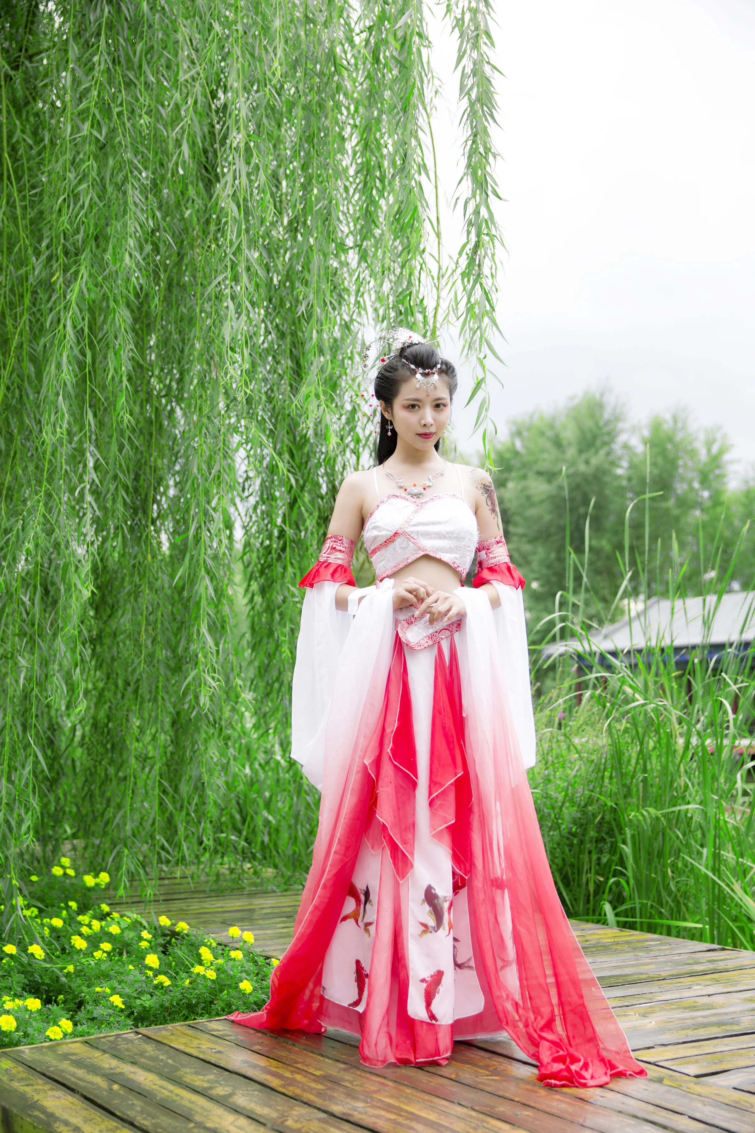 锦鲤抄 给大家带来好运！｜高清图片集