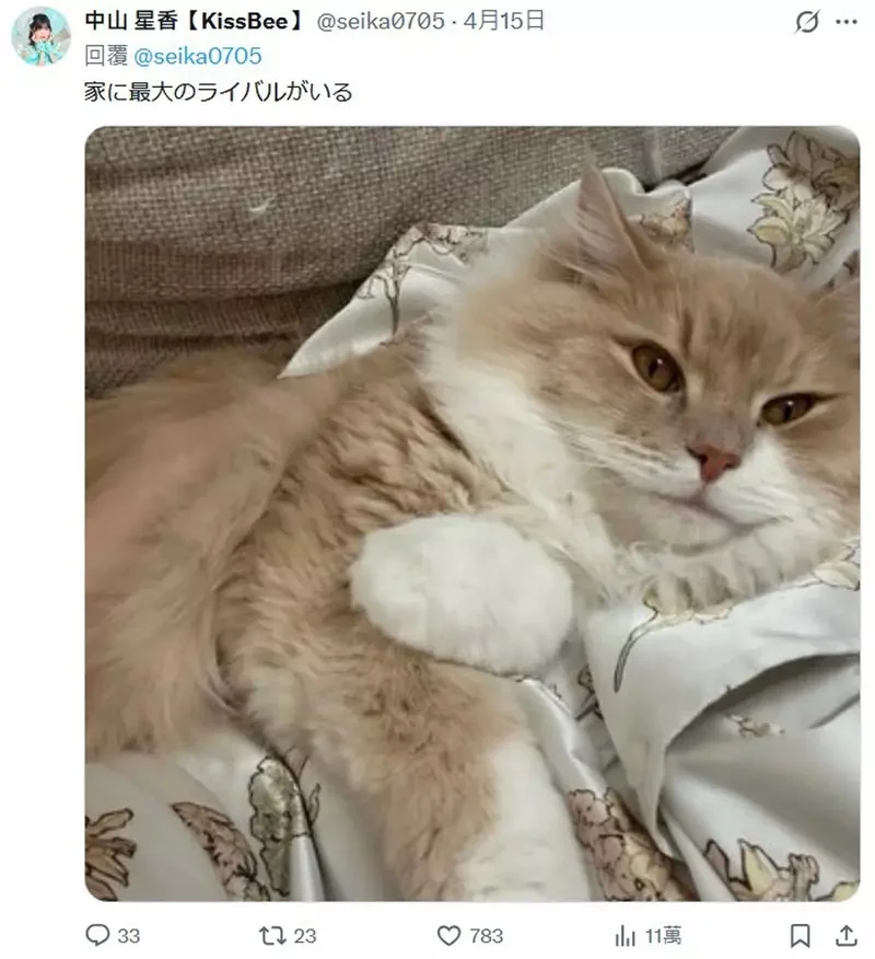 奇蹟的30歲偶像《中山星香》公開跟自己交往的好處，競爭對手除了家貓其它全是好處？｜高清图片集
