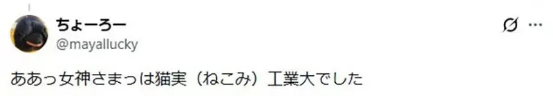 貓奴們想要住在《名字有貓字的地區》日本各地其實存在這麼多｜高清图片集
