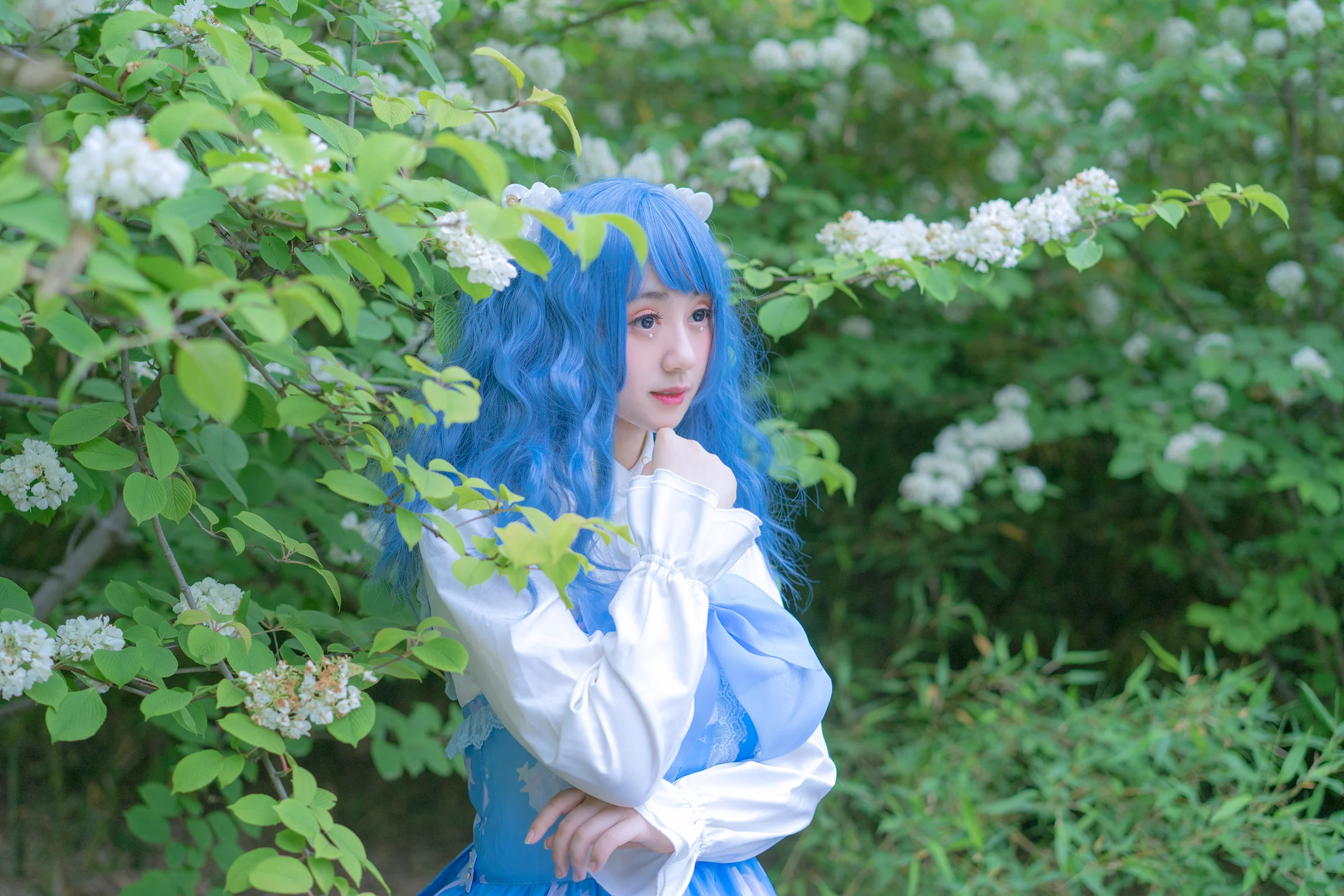 lolita 贝壳星辰 JSK｜高清图片集