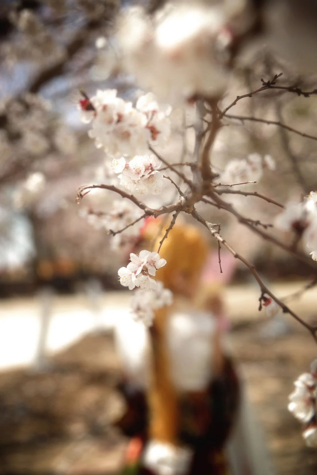 刹月华 镜音连COS写真