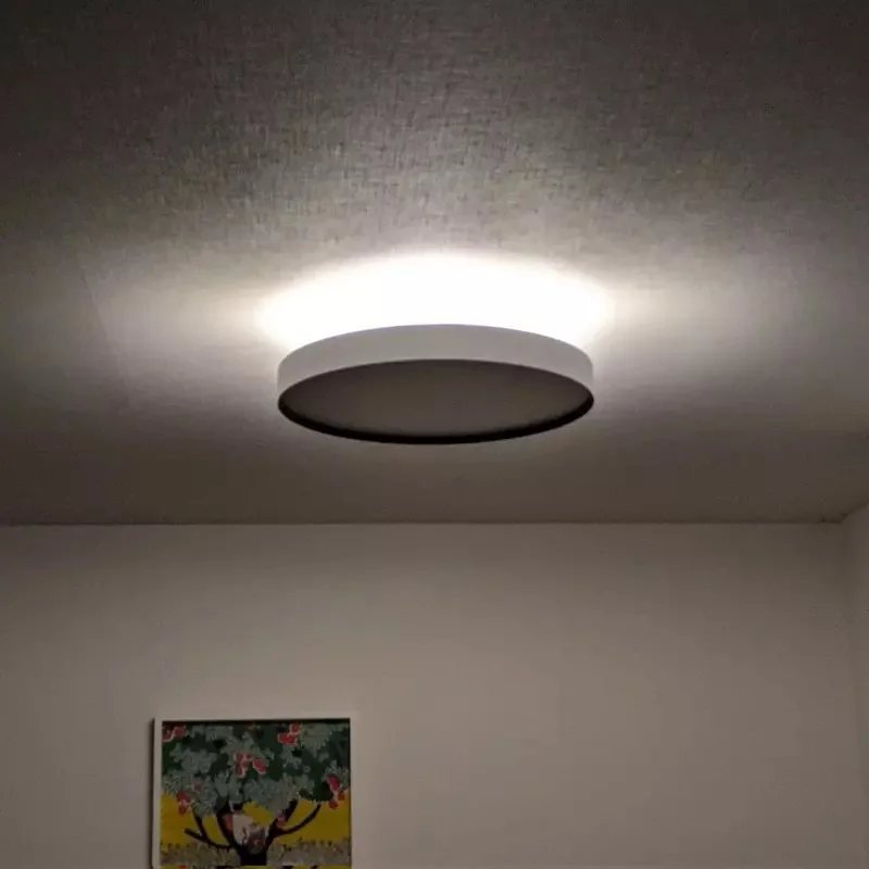 讓家裡小朋友過份注視的《天花板燈具》抬頭一看這不就是日全蝕嘛！？｜高清图片集