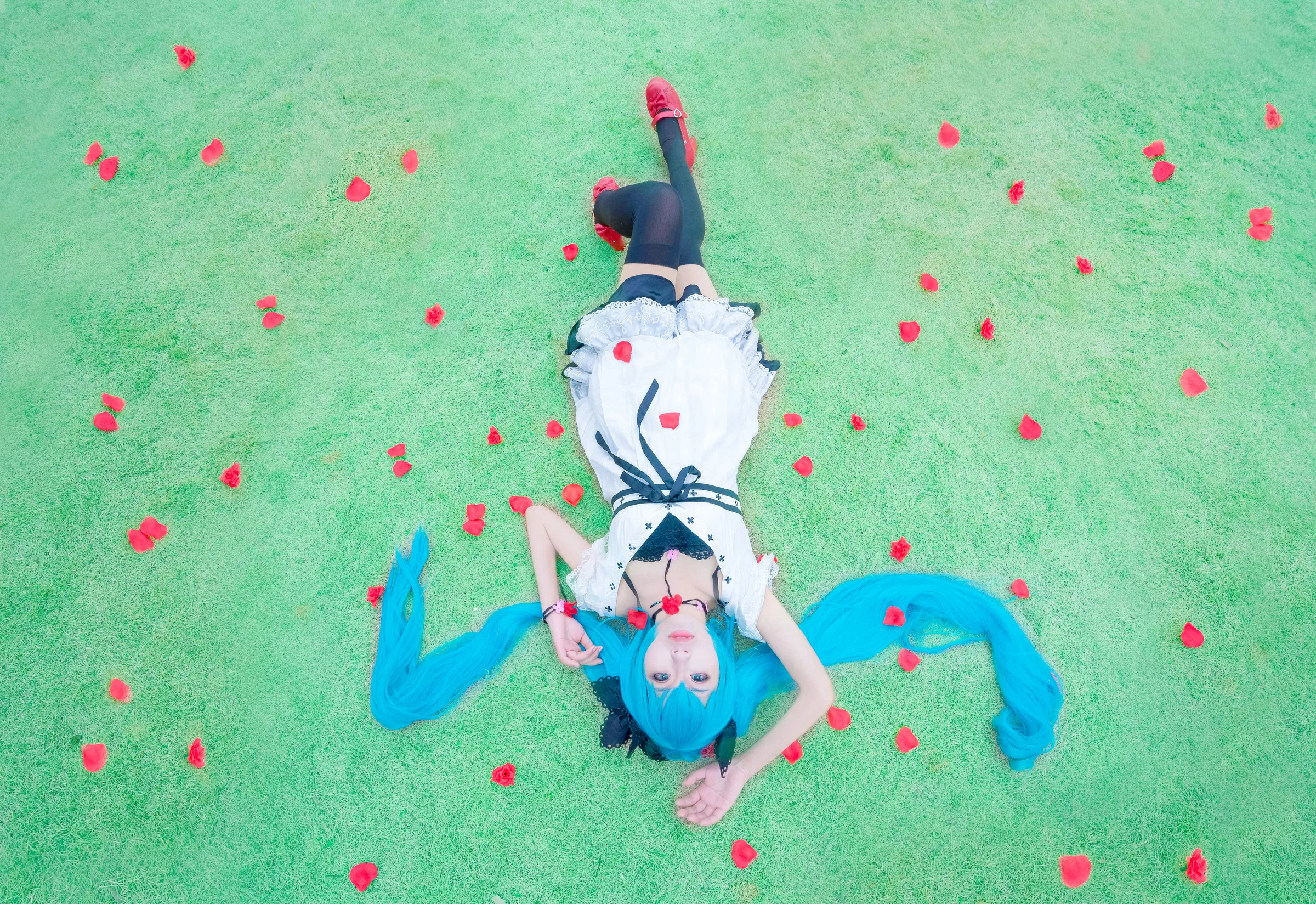初音COS写真 世界第一的公主殿下！