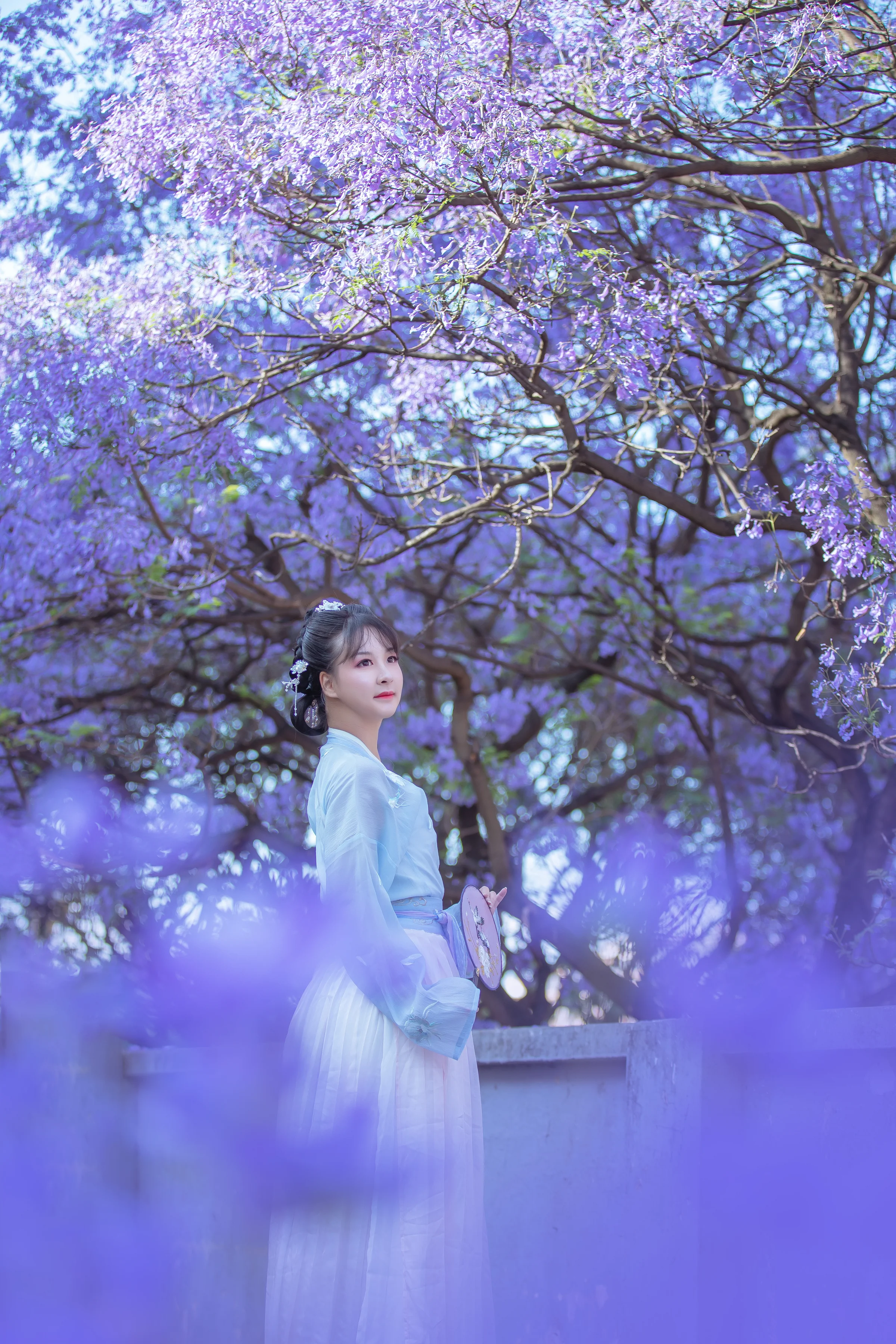 汉服蓝花楹｜高清图片集