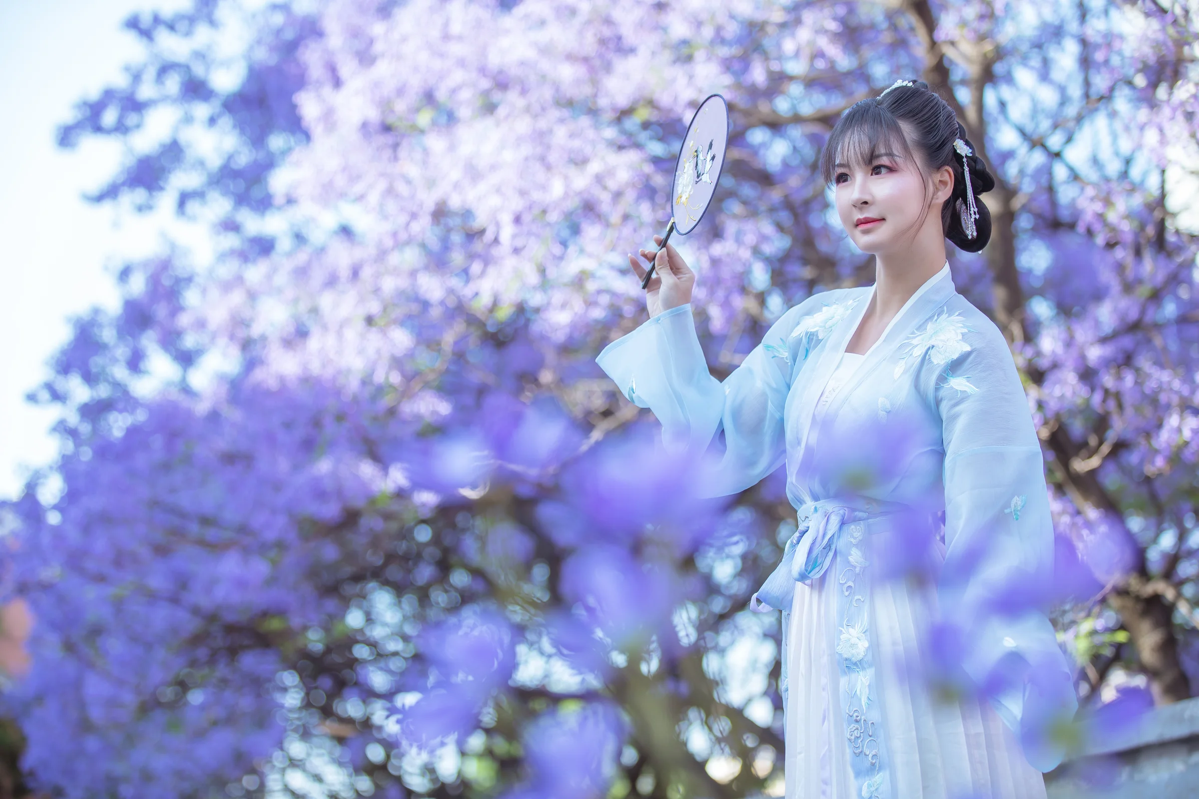 汉服蓝花楹｜高清图片集