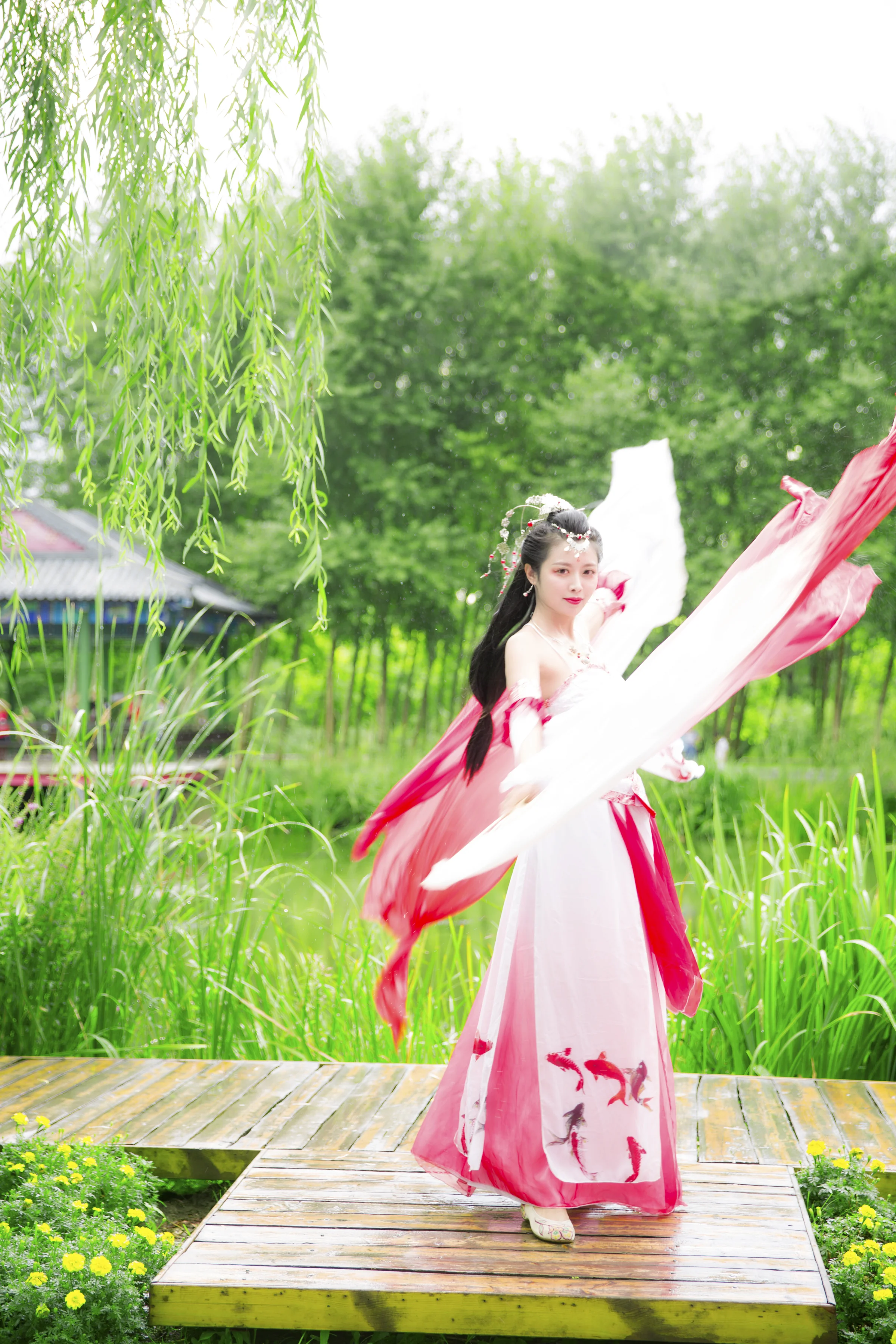 锦鲤抄 给大家带来好运！｜高清图片集
