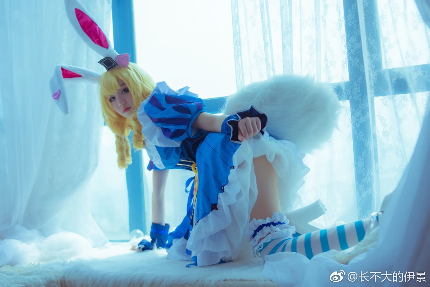 王者荣耀妲己爱丽丝COS写真