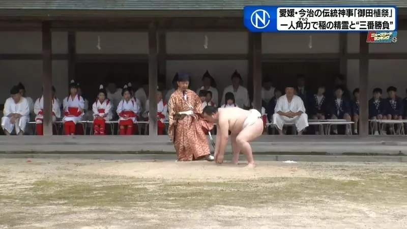 日本奇妙祭典《跟稻田精靈比相撲》唯一的力士後繼無人好苦惱｜高清图片集