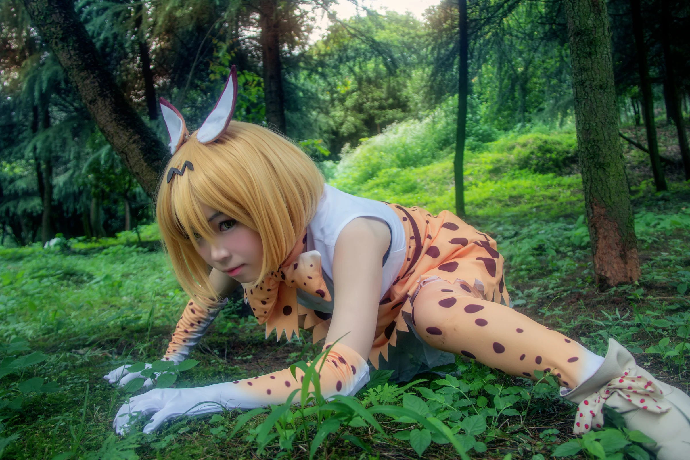 兽娘动物园 薮猫COS写真